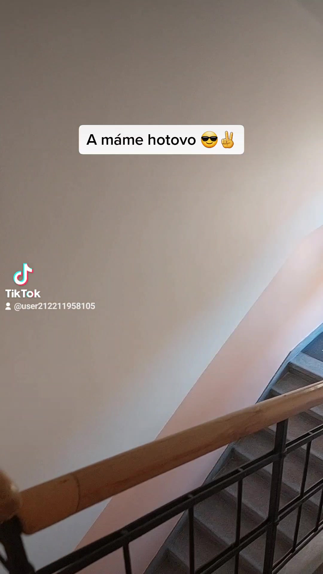 Profi Malíř Praha foto 2 (náhled videa)