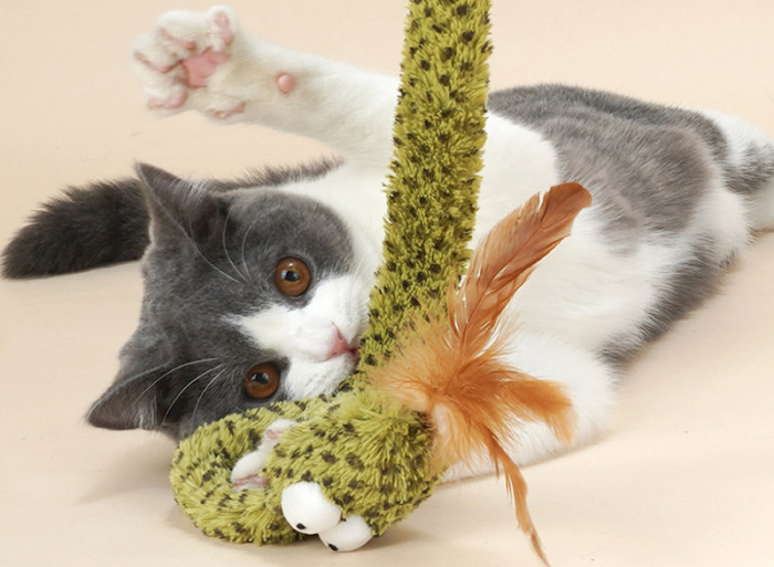 Spokojenakocka.cz foto 2