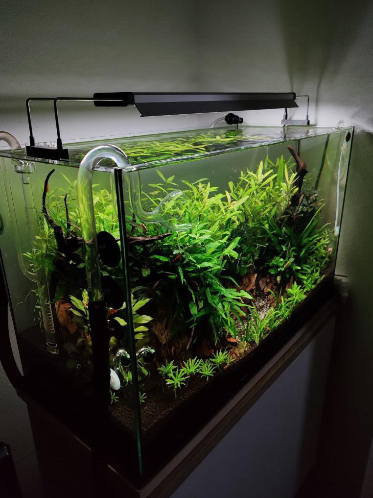 MarasAqua - servis a realizace akvárií foto 4