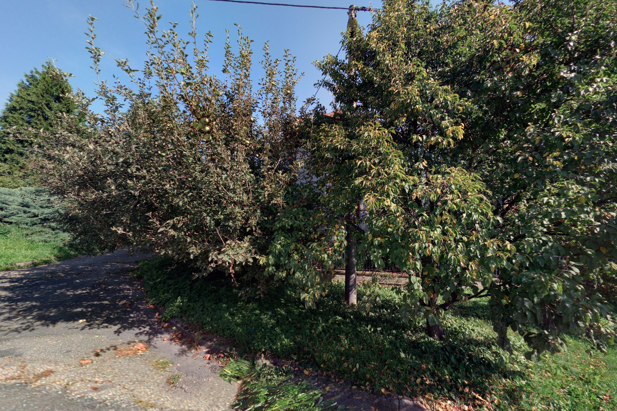 Lenka Zábojníková - Projekce foto 2