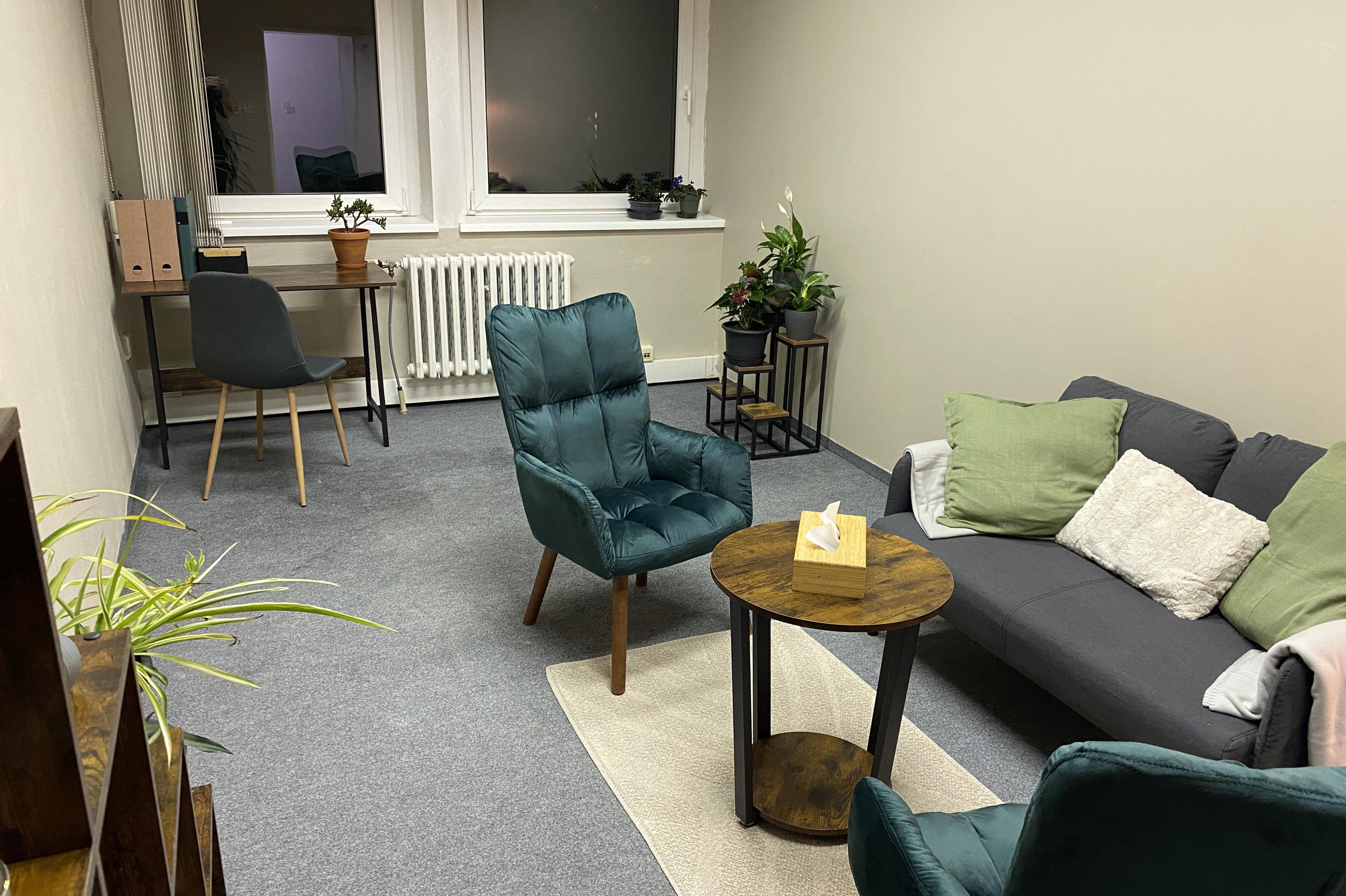 Mgr. Alena Holoušová, terapie a supervize