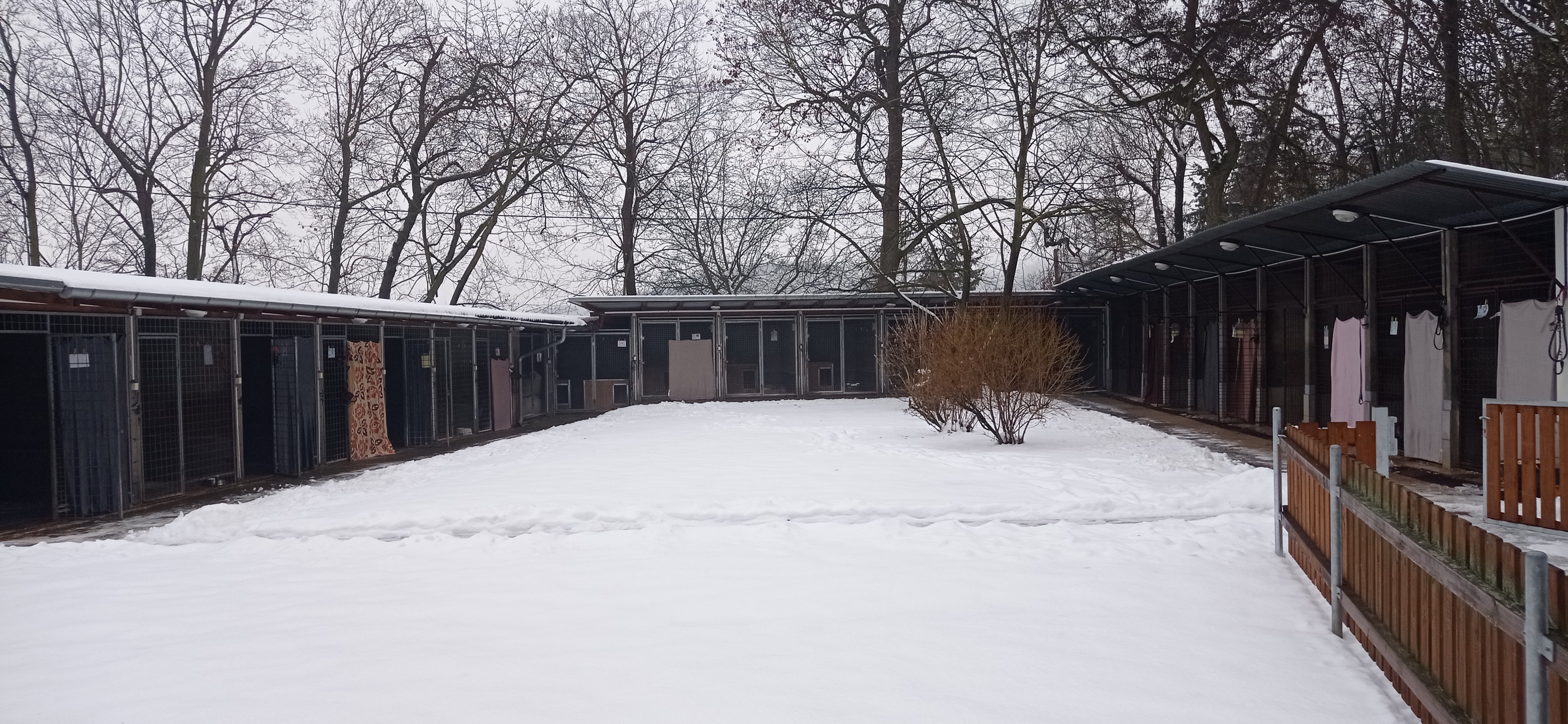 Centrum pro zvířata v nouzi při ZOO Ústí nad Labem