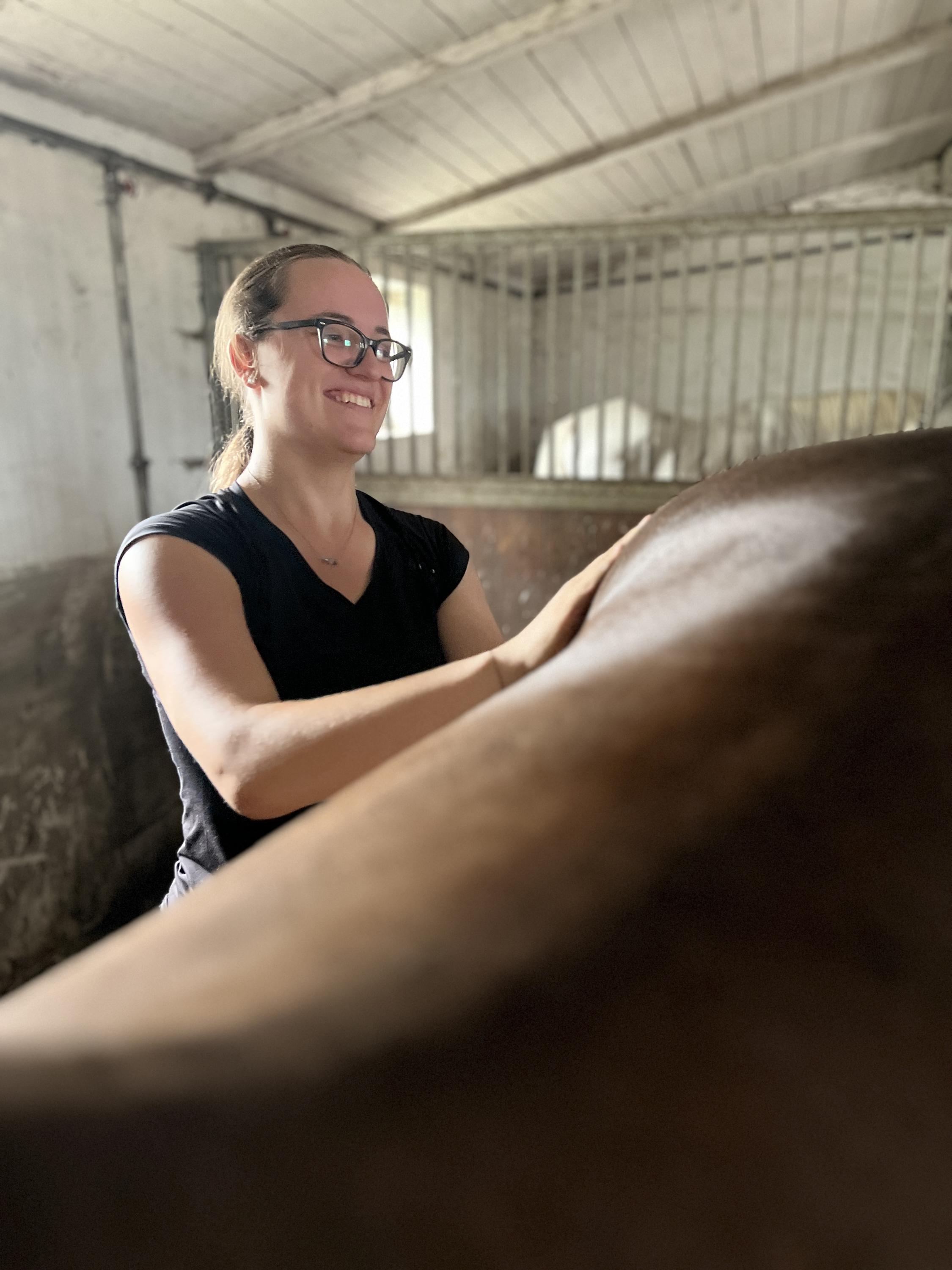 Equinea - fyzioterapie koní a psů foto 2