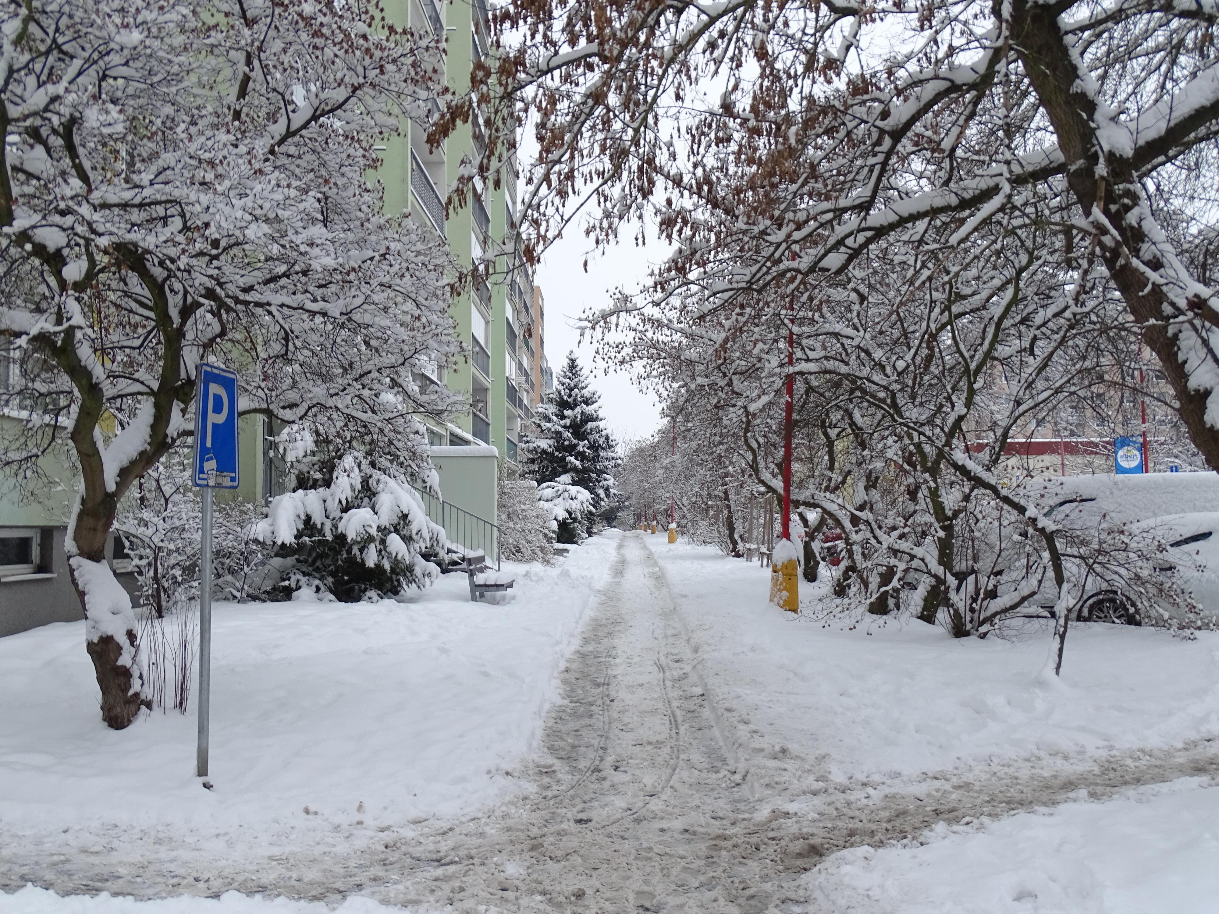 Klára Záchová - krejčovství foto 3