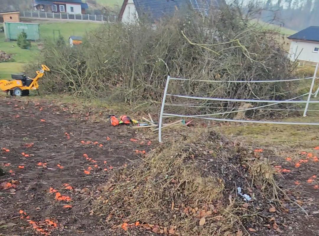 Likvidace náletové dřeviny, keřů a větví