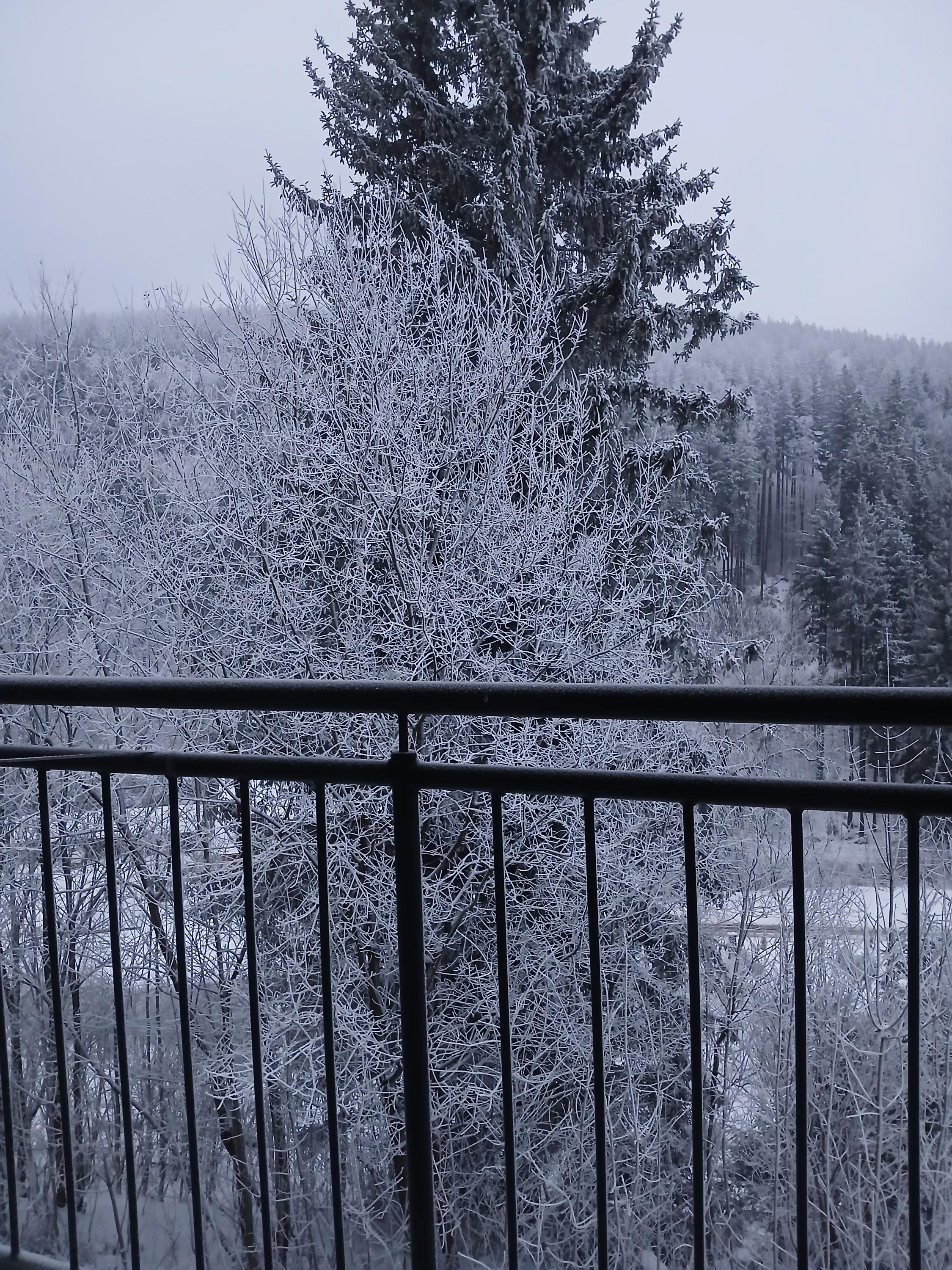 Apartmán Orbit Karlov foto 2