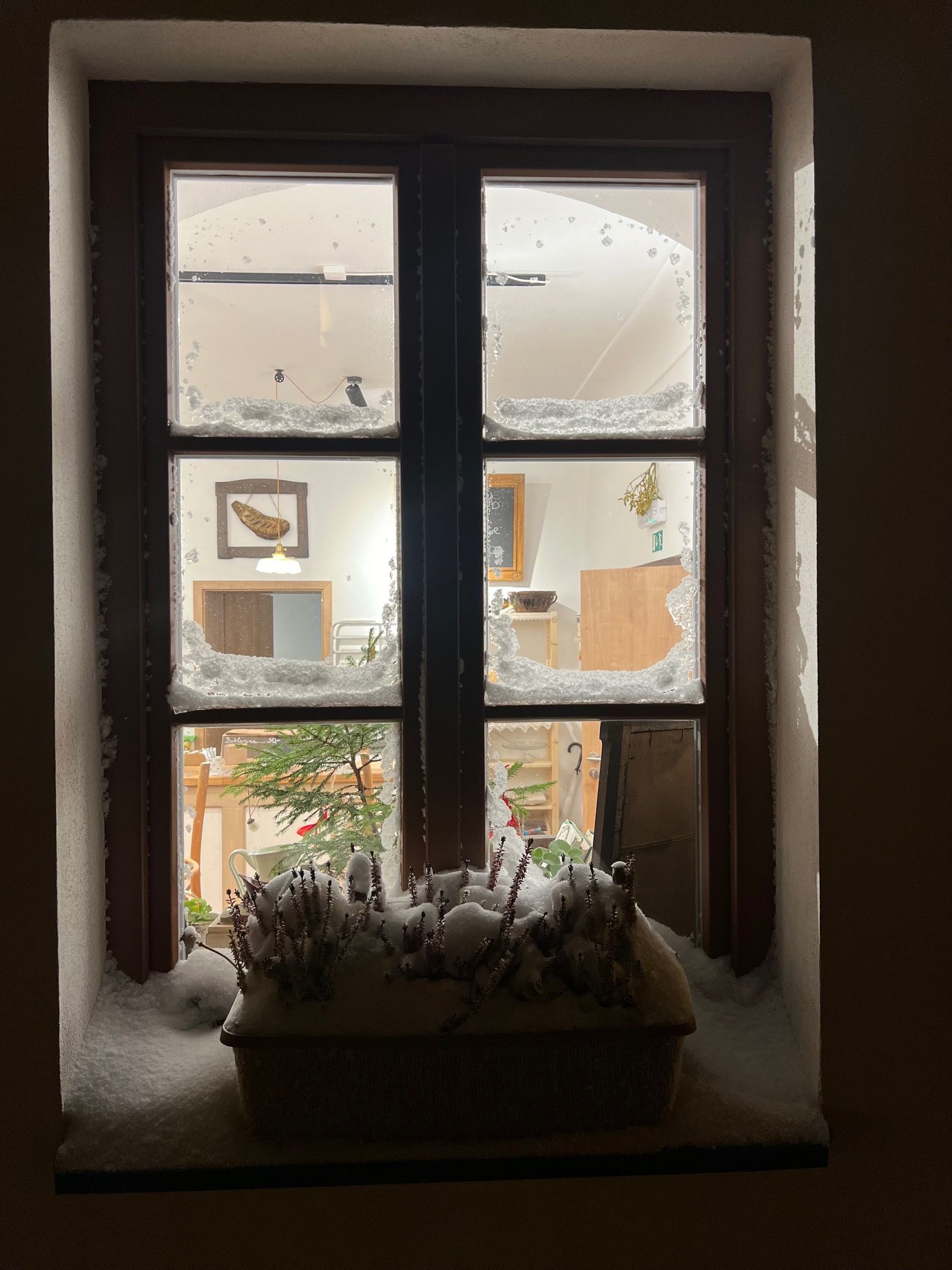 Srnková káva foto 4