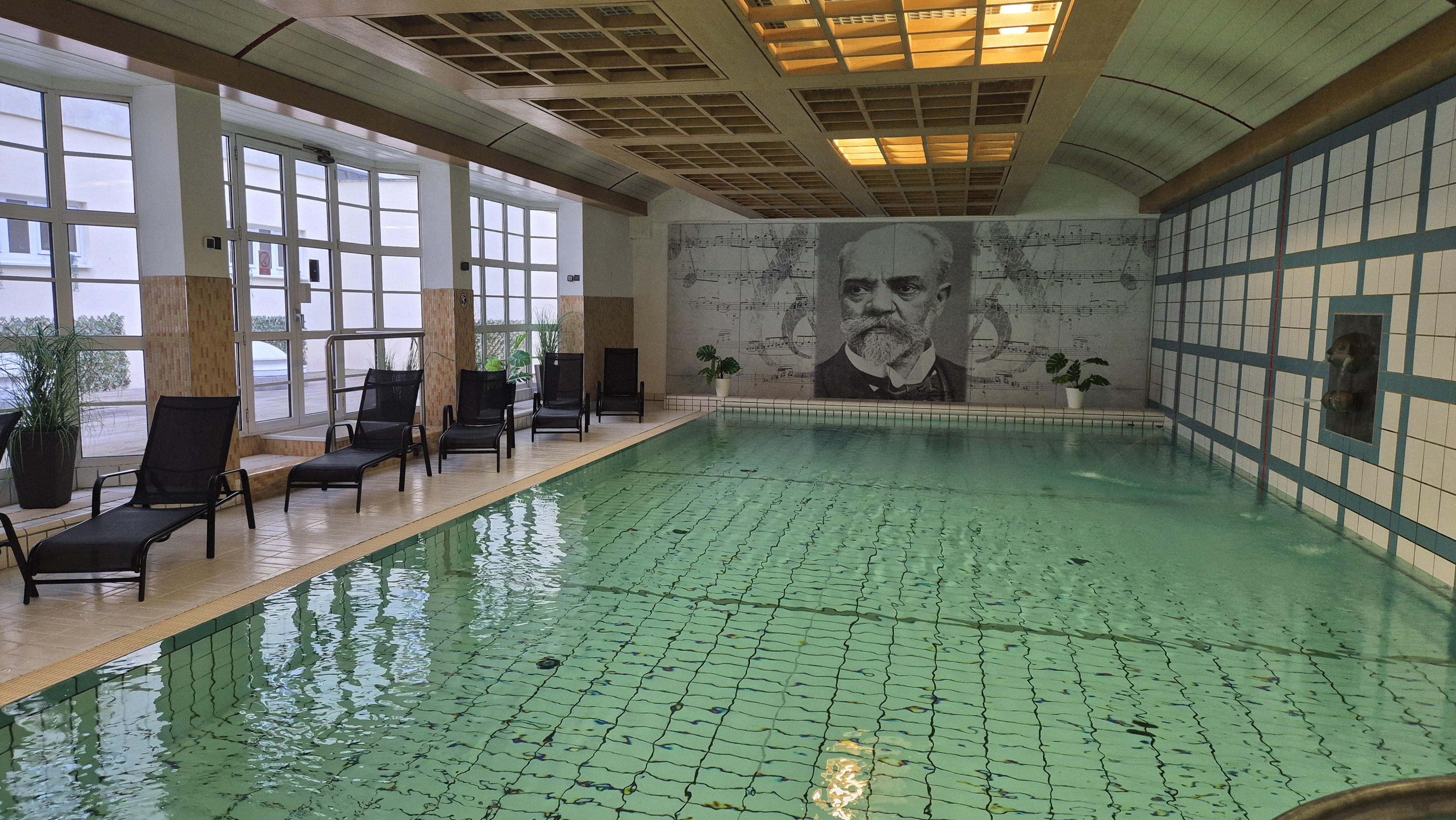 Dvorak Spa & Wellness Hotel foto 5