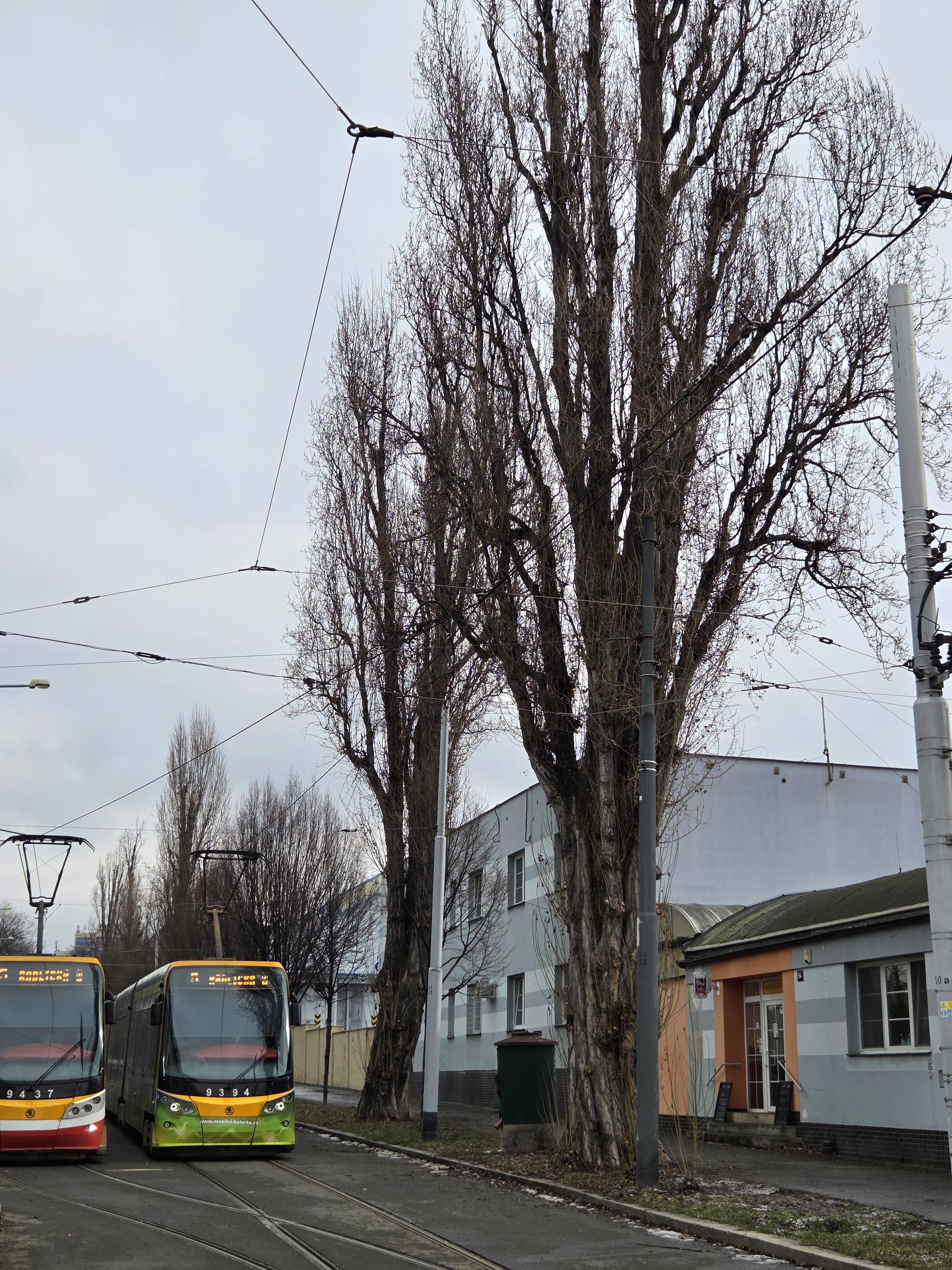 Jídelna Vozovna Žižkov foto 3