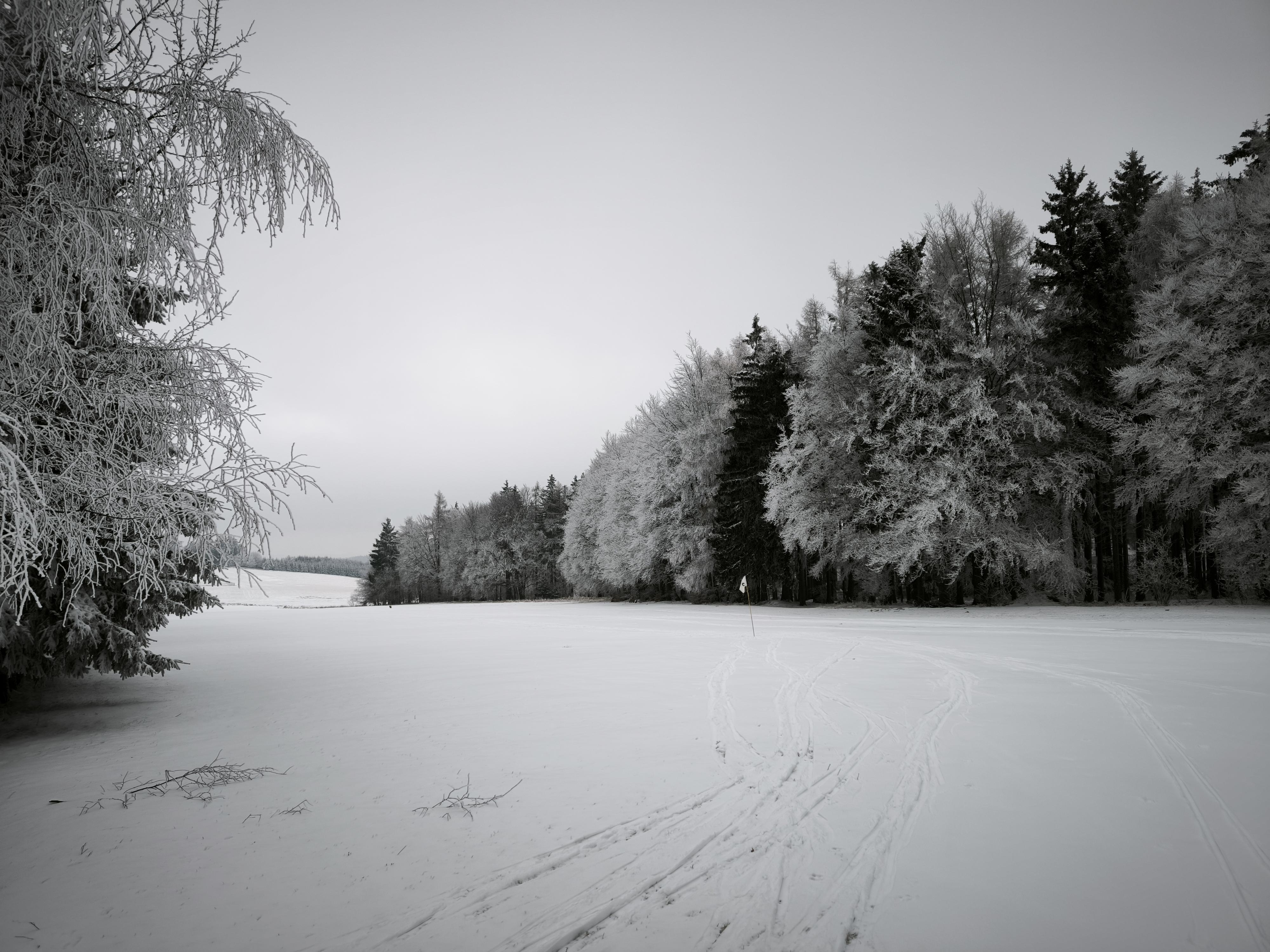 Golf & Ski Resort Kořenec u Boskovic foto 6