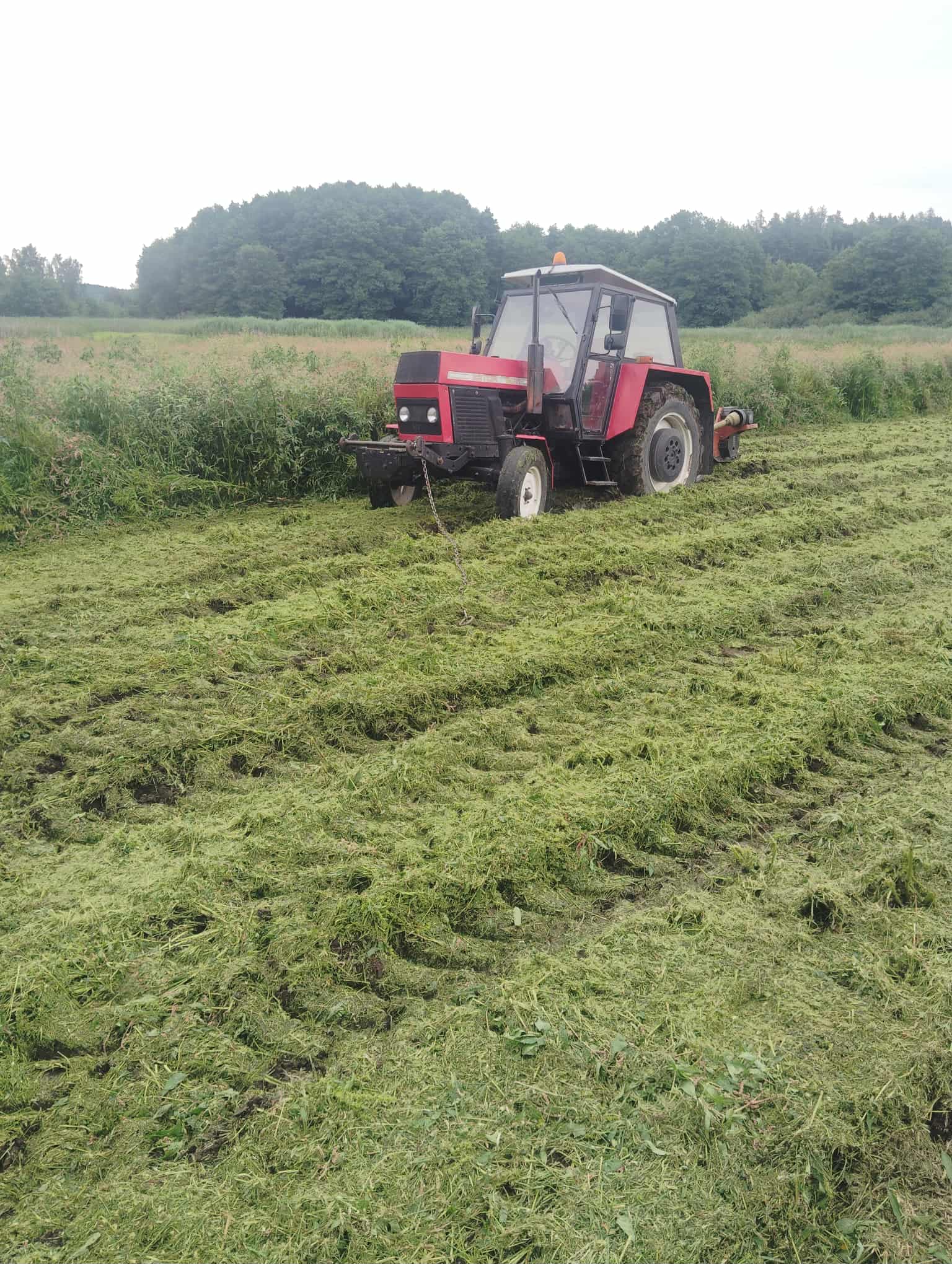 Zemní práce a mulčování František Žák foto 3
