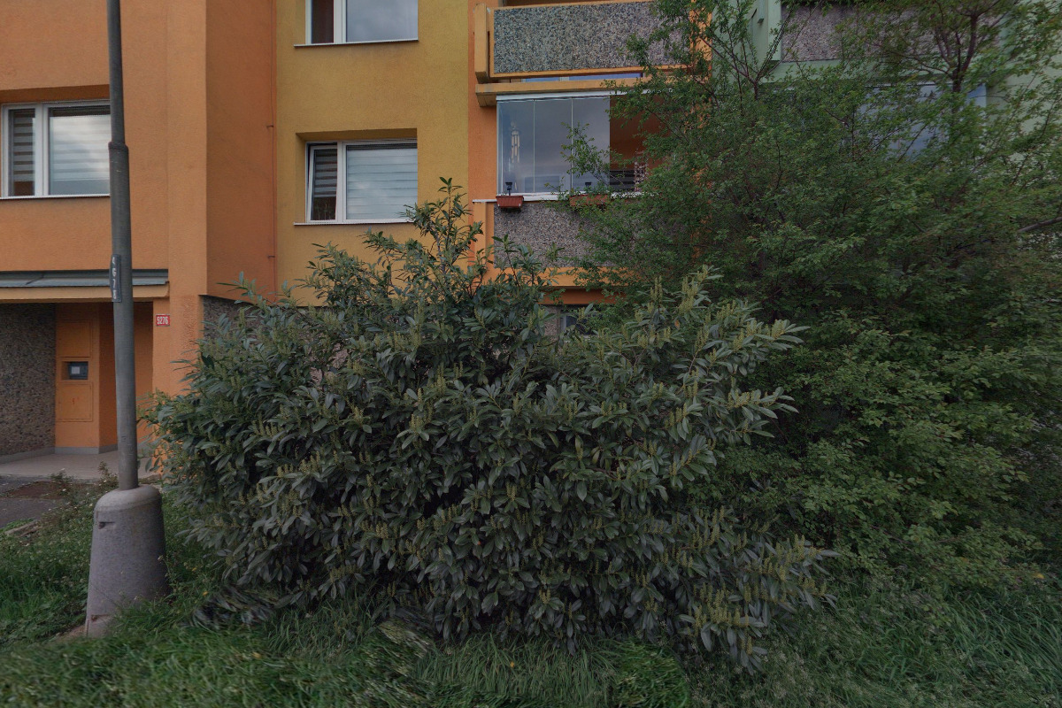 Fotograf Starý foto 1