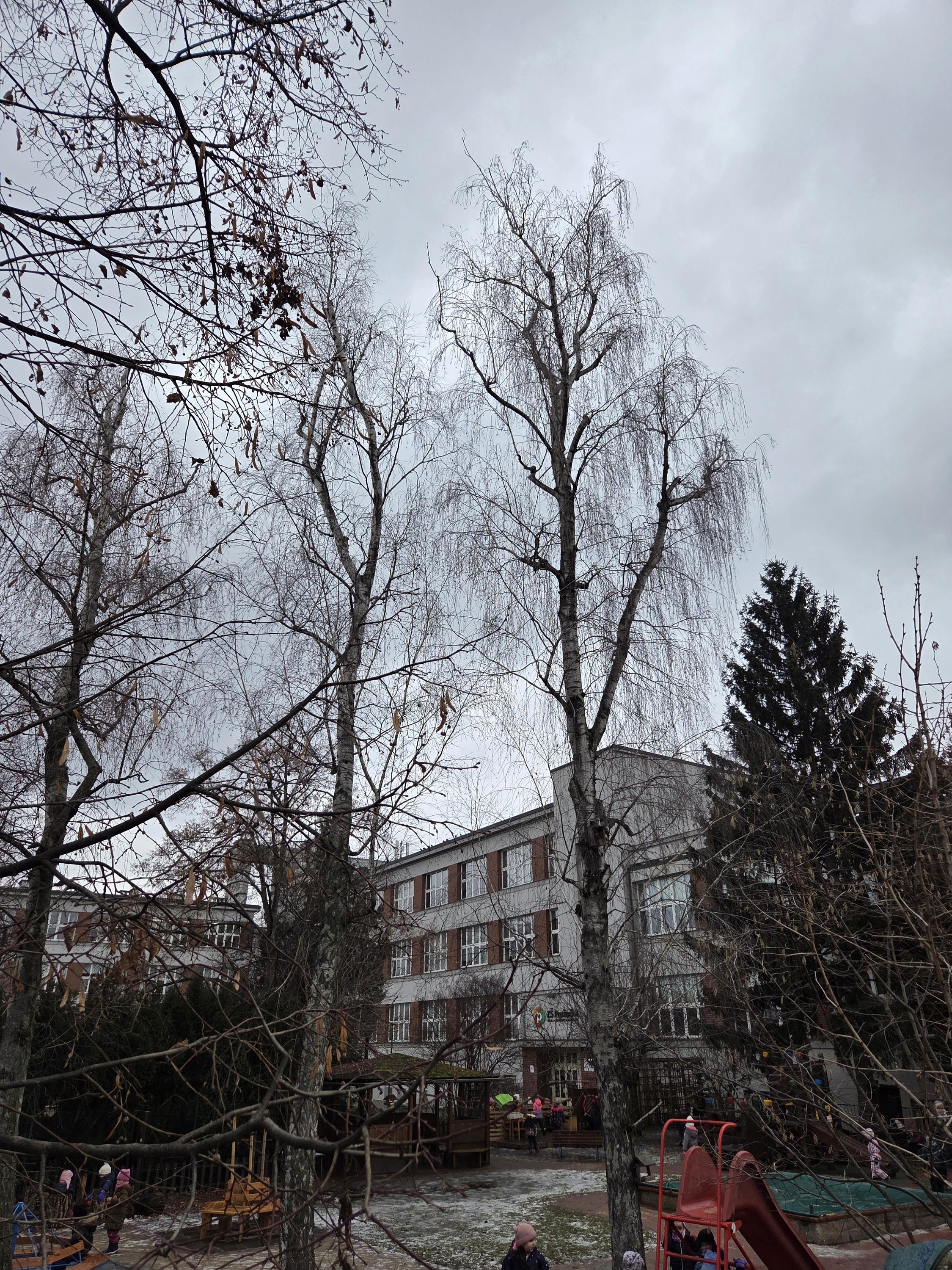 MŠ Pražačka foto 5