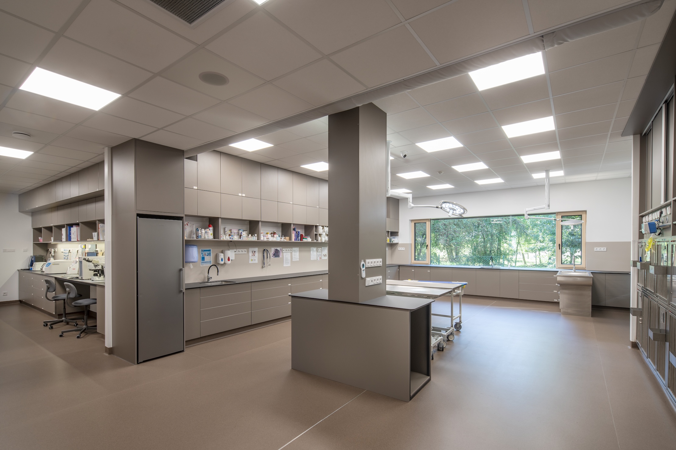 ABvet veterinární klinika foto 2