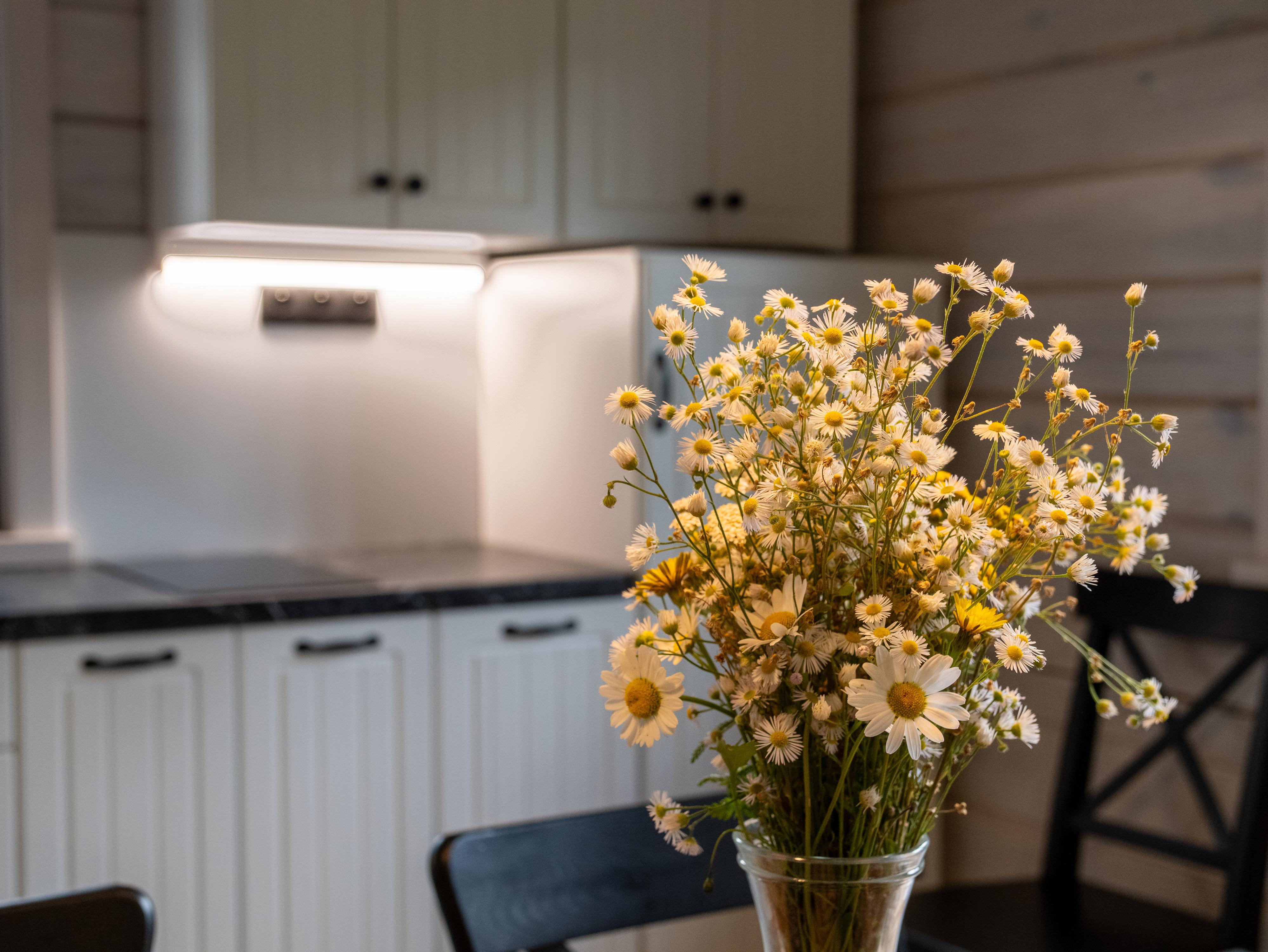 Roubenka Jesenka foto 4