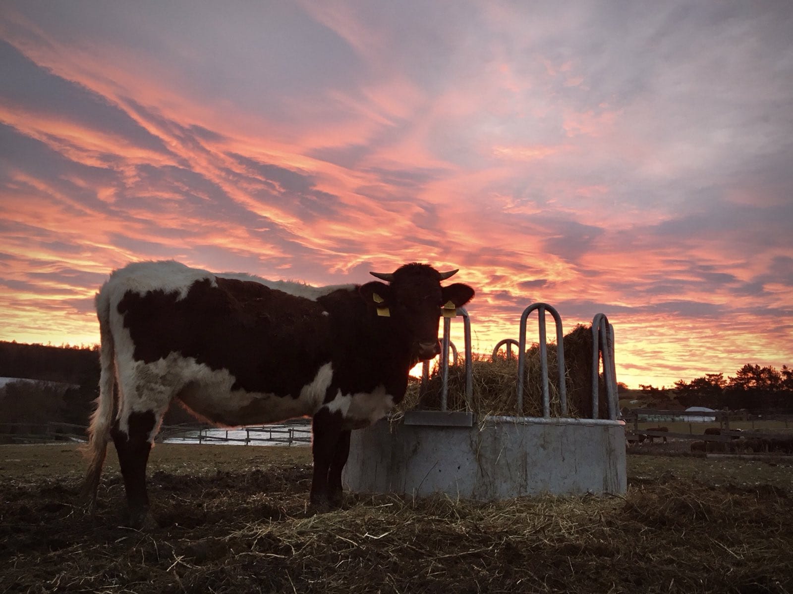 Ekologická farma Jednorožec foto 4