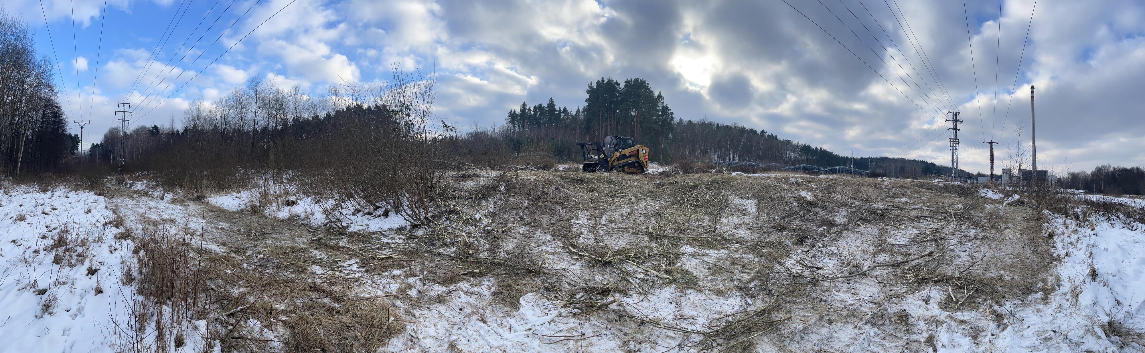 TR DREAM – Rizikové kácení a výškové práce foto 5