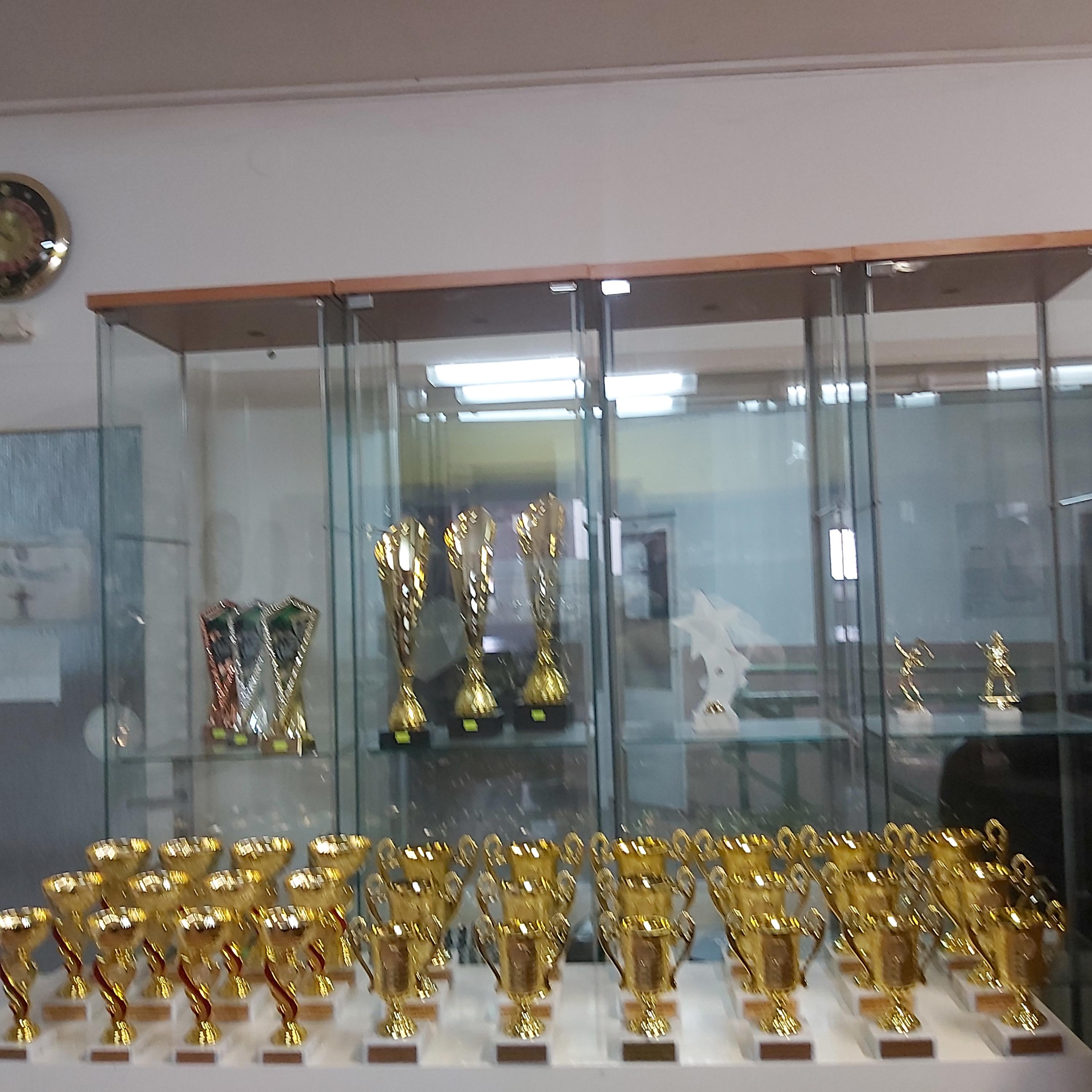 Sportovní trofeje Pavel Růžička foto 2