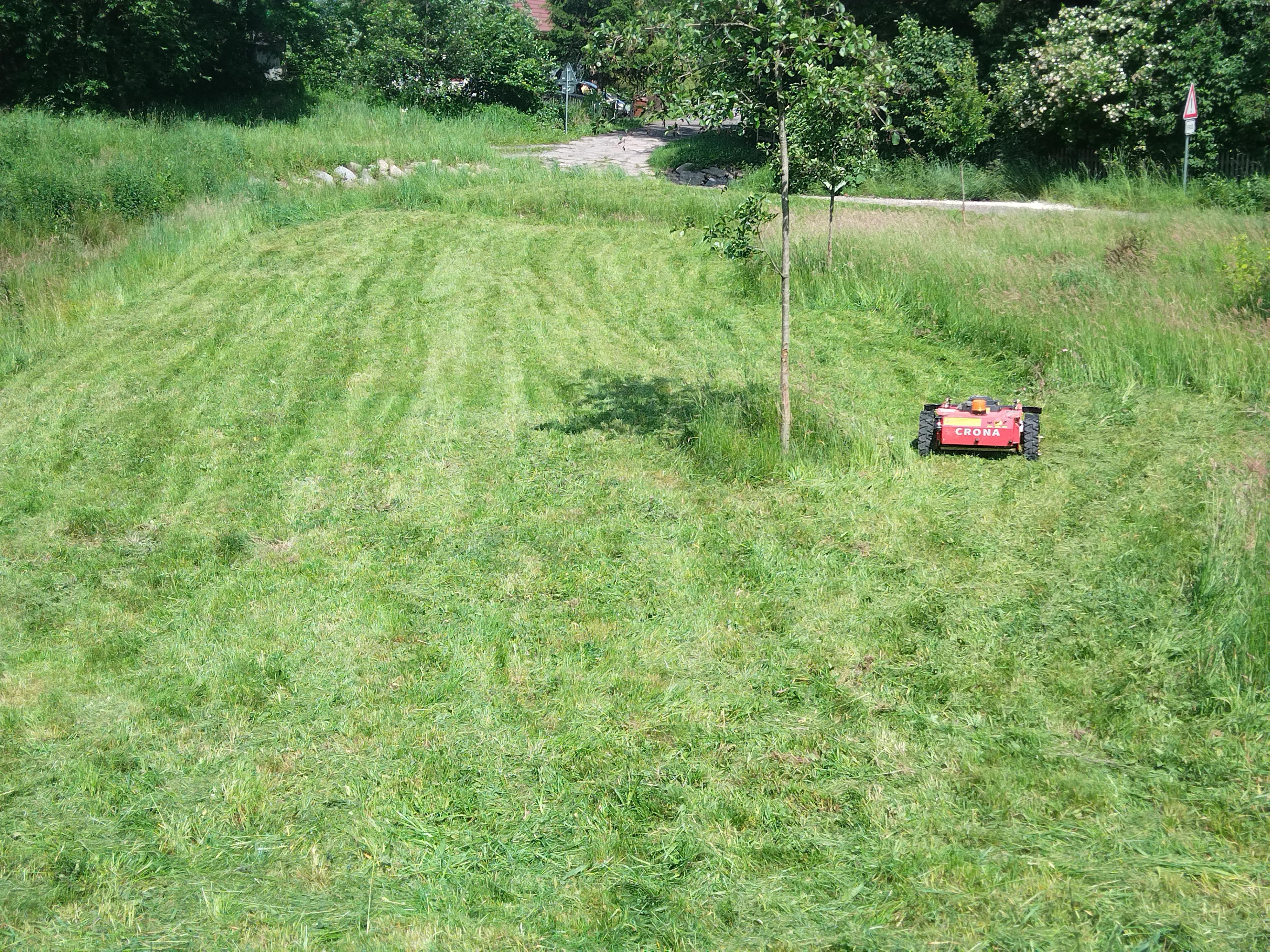 ToLiVGarden foto 3