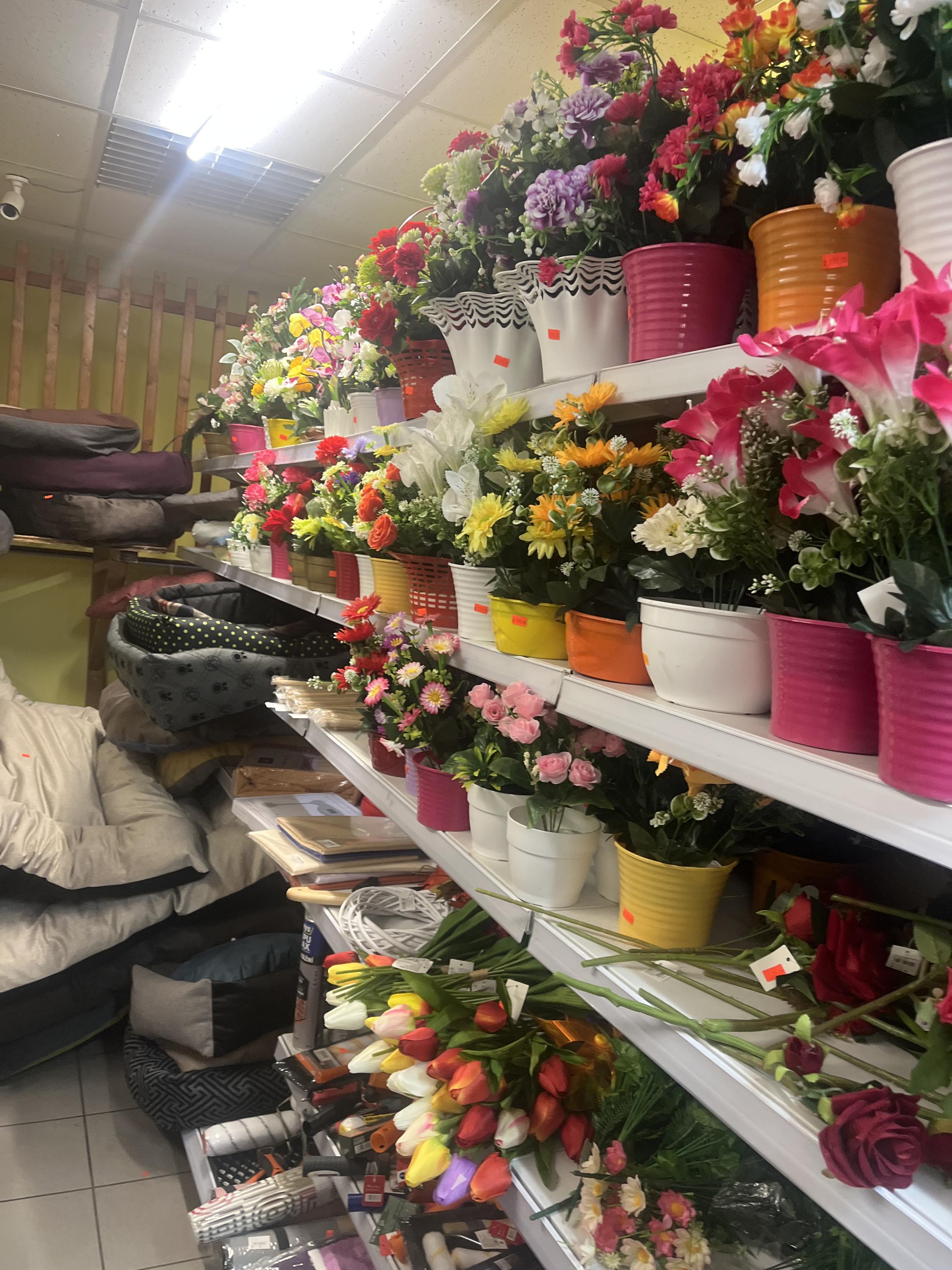 Potraviny Domoušice foto 3