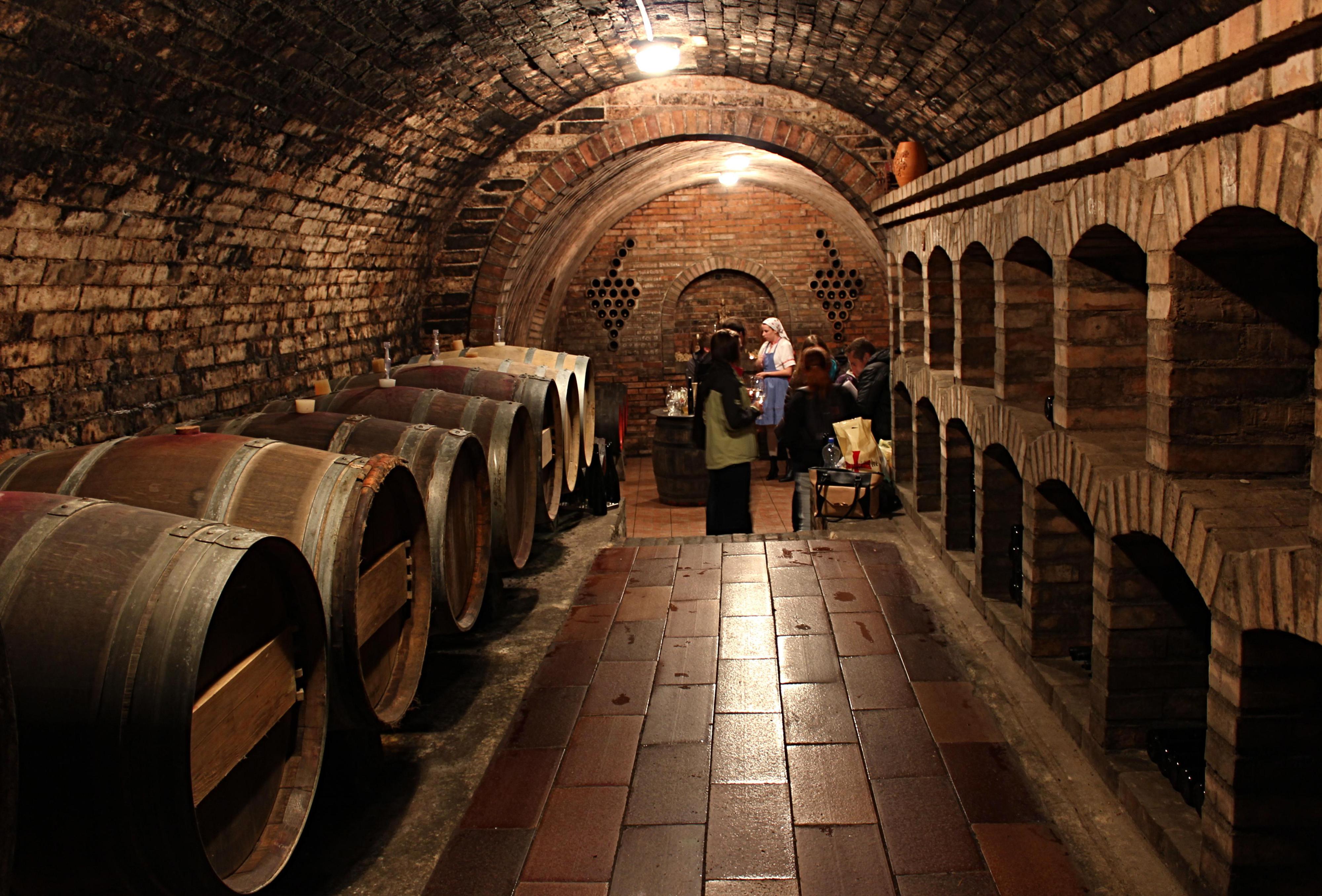 Rodinné vinařství Kašík