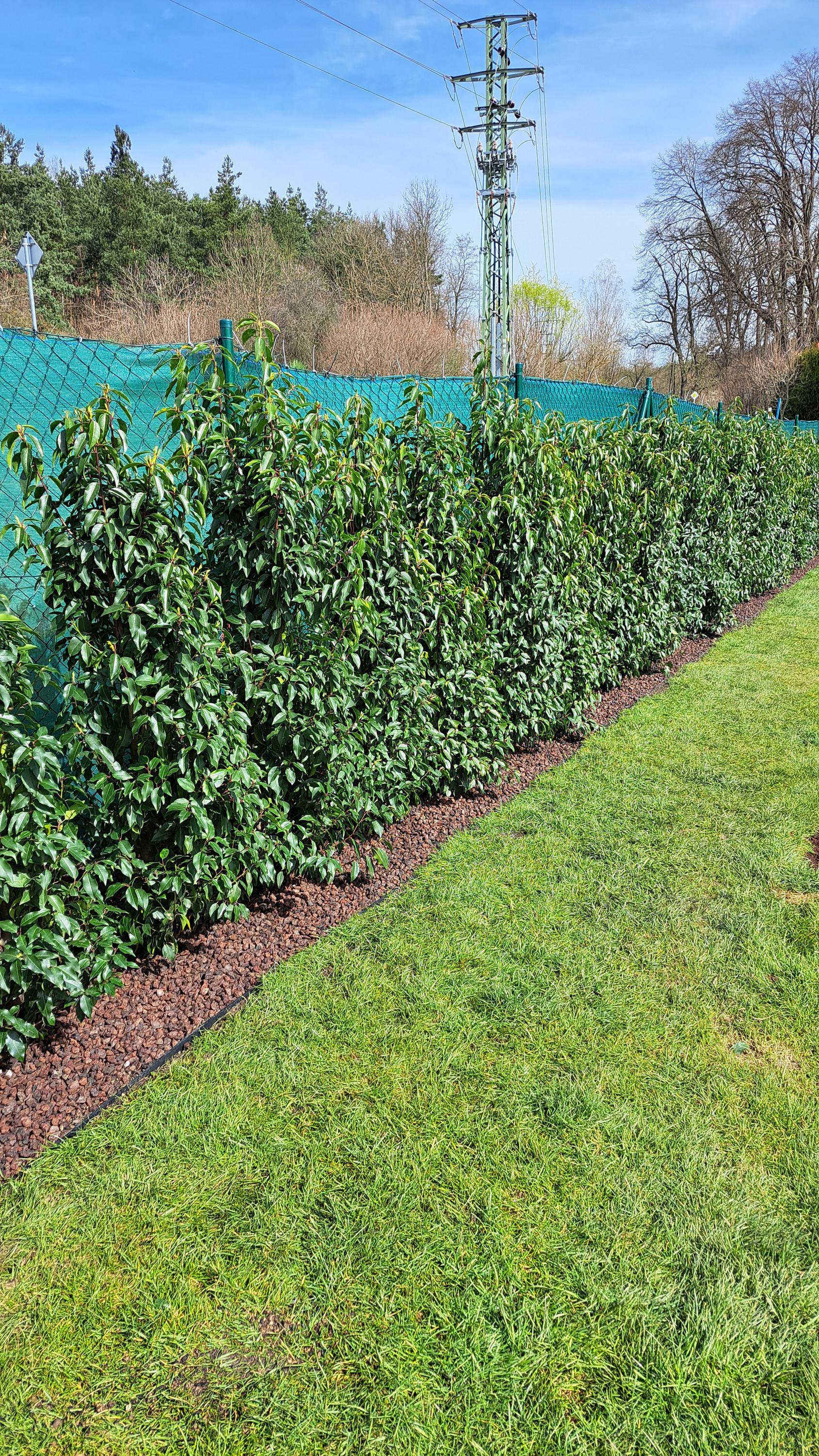 Brennero garden services, s.r.o. foto 5