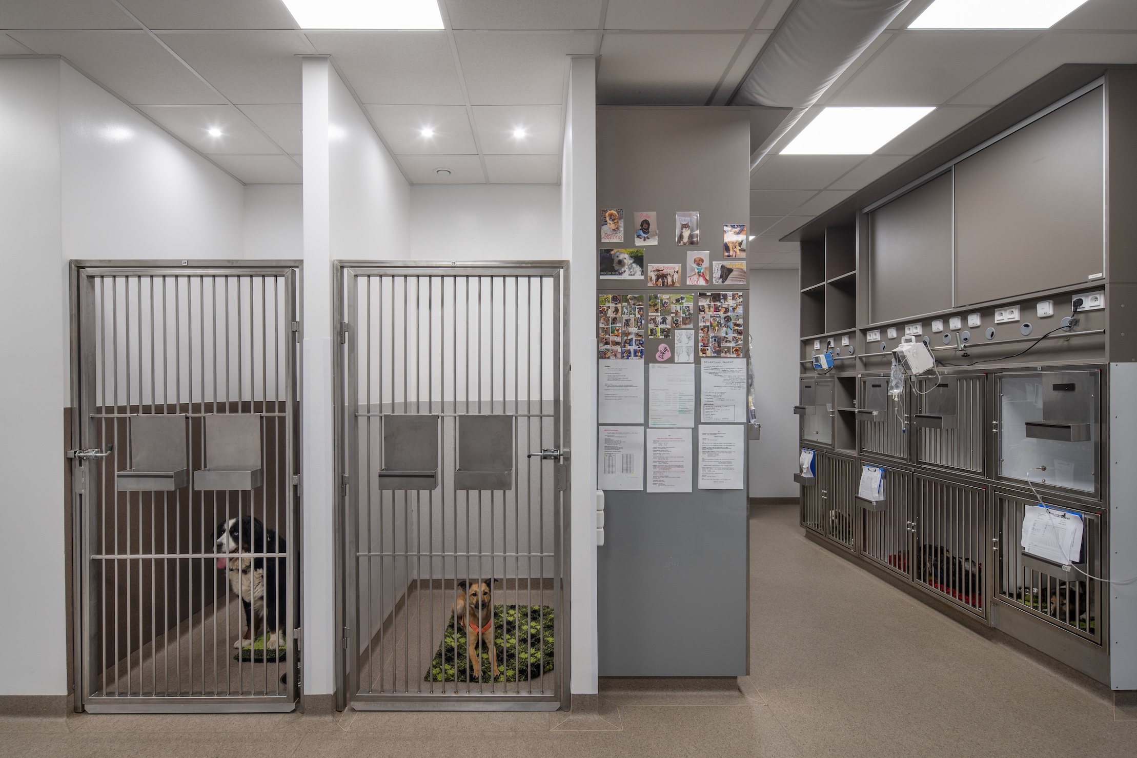 ABvet veterinární klinika foto 6