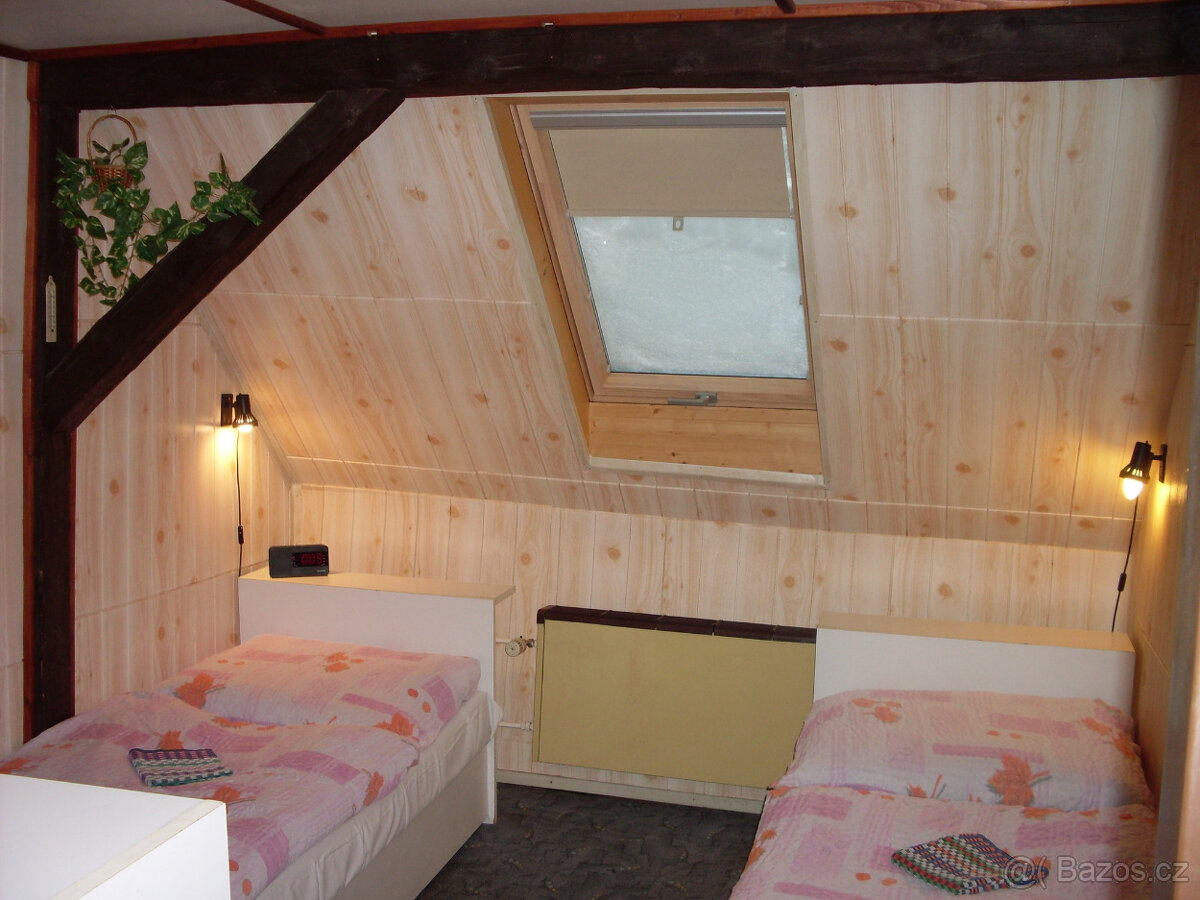 ŠNEKO SKI RENT foto 3