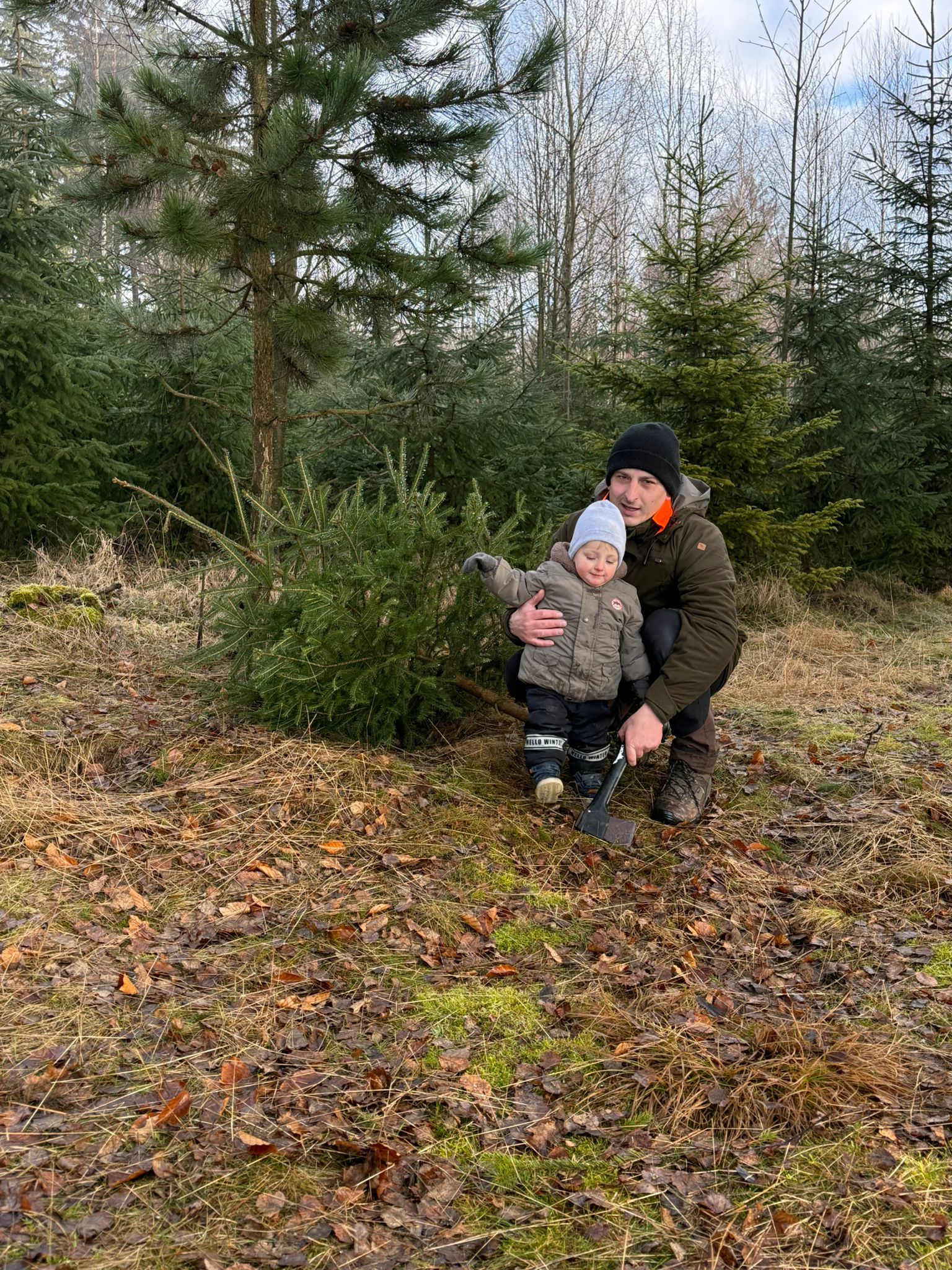 Lesy Jeřábek, s.r.o. foto 4