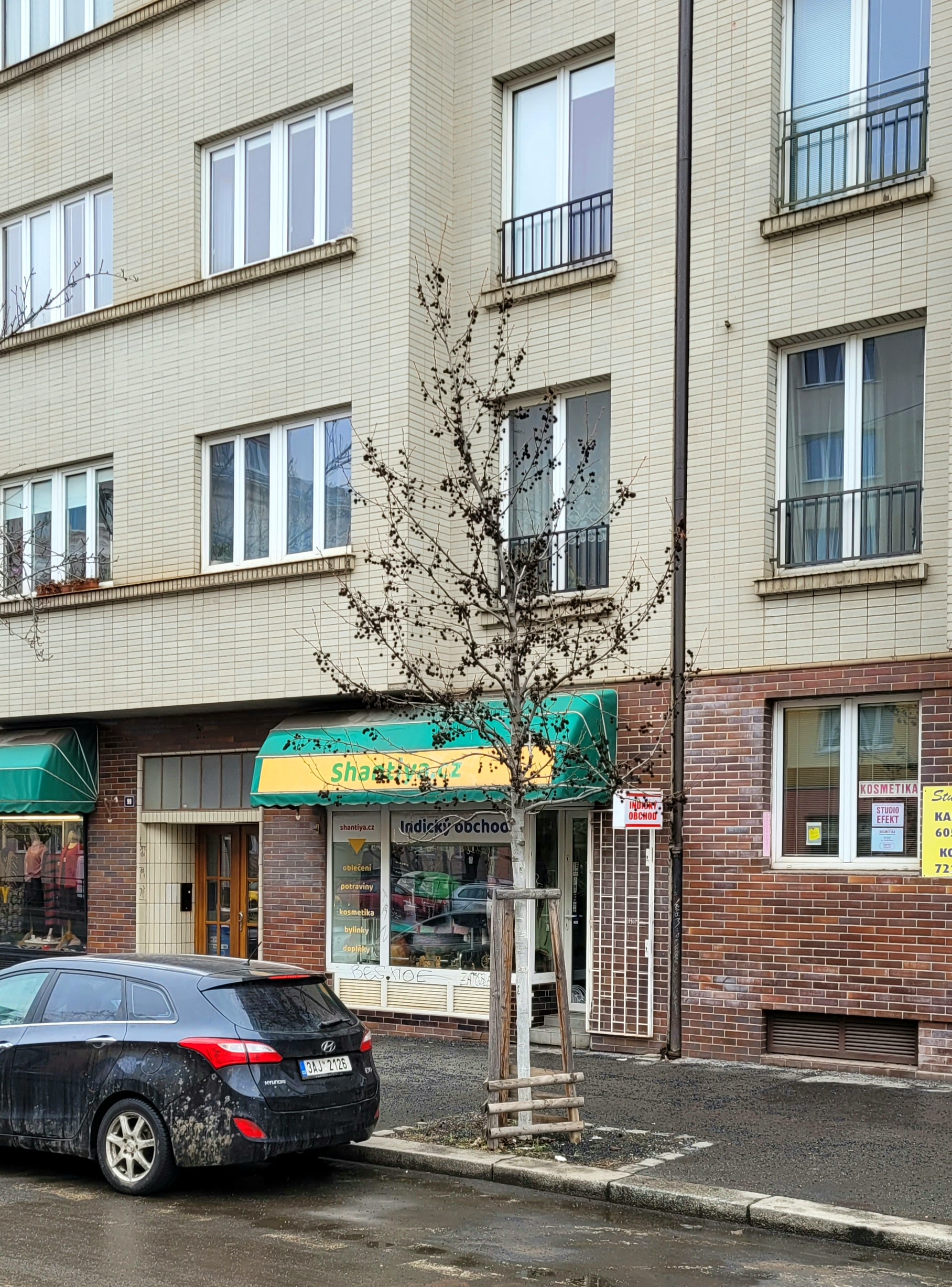 Shantiya.cz foto 2