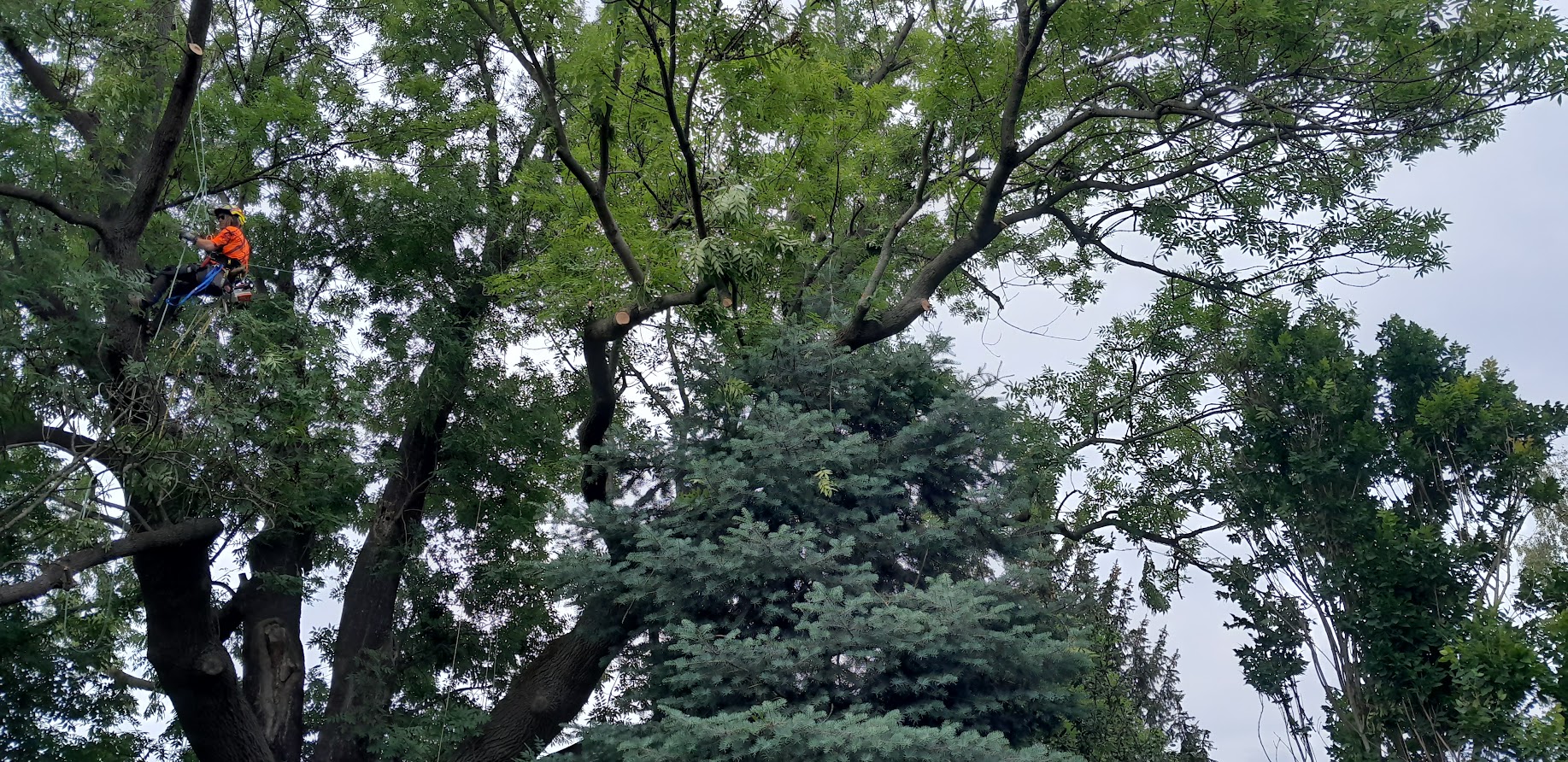 Dvě Větve foto 5