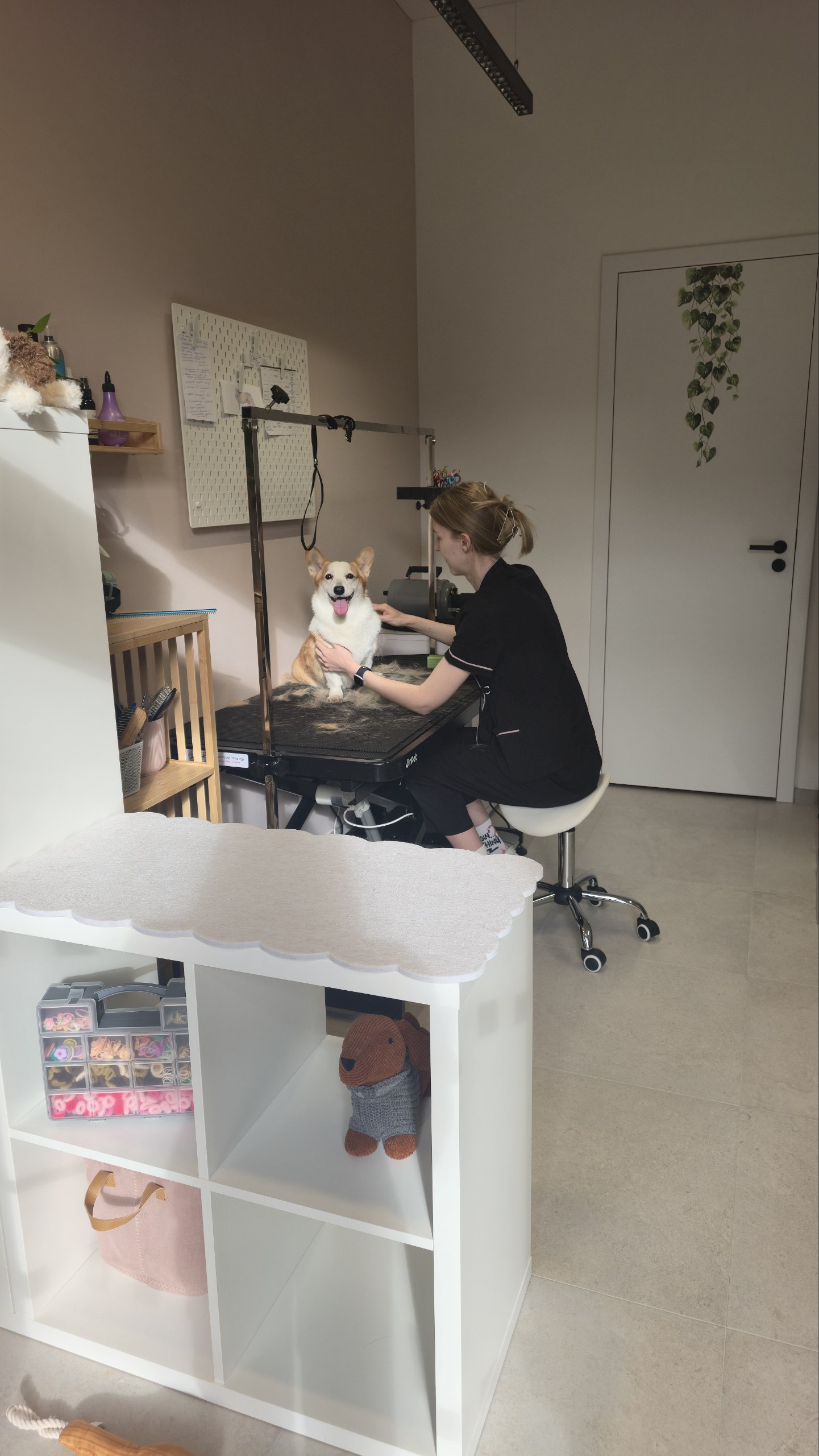Pet&Friend grooming studio foto 4