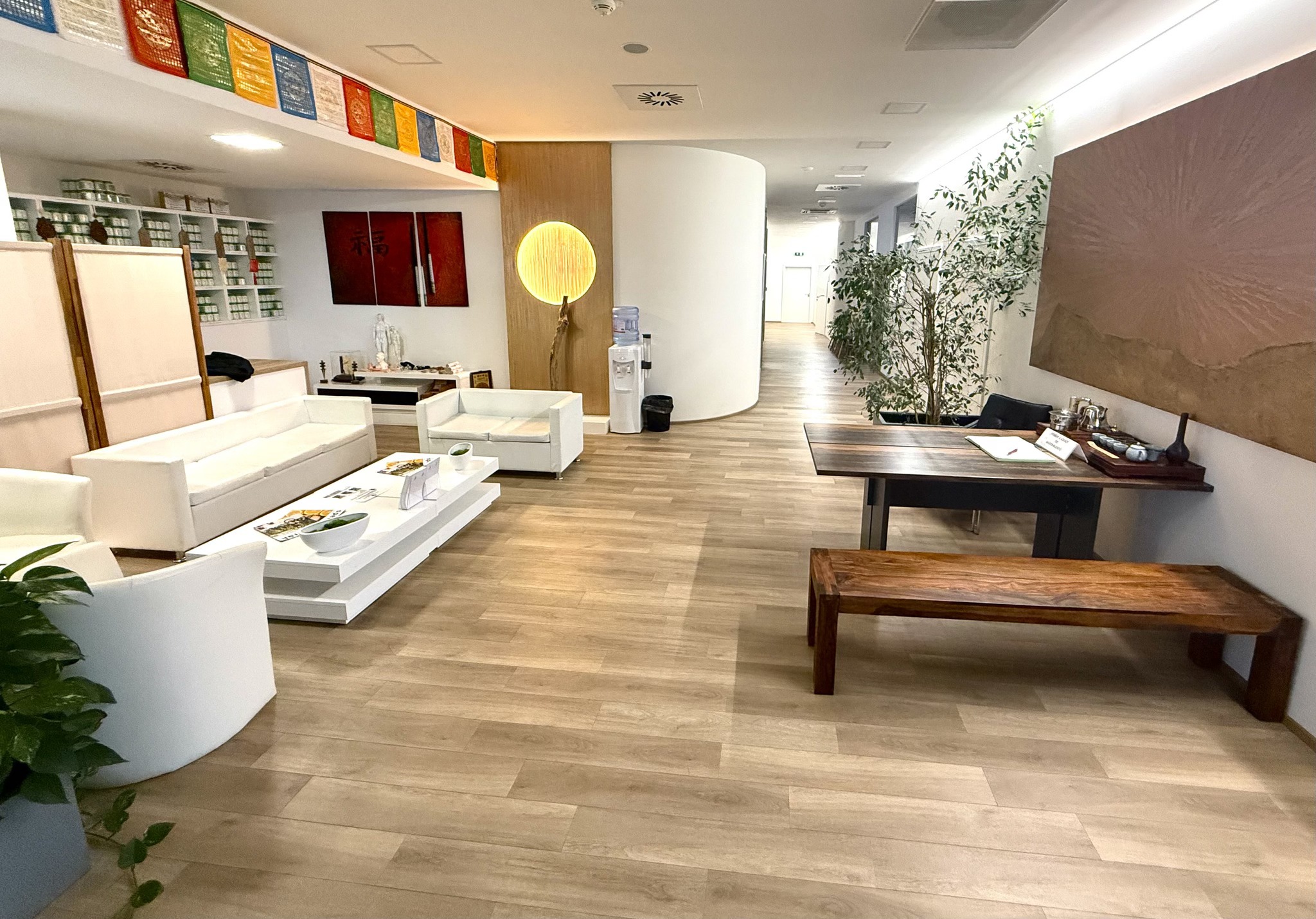 České centrum moderní tradiční čínské medicíny s.r.o. foto 4