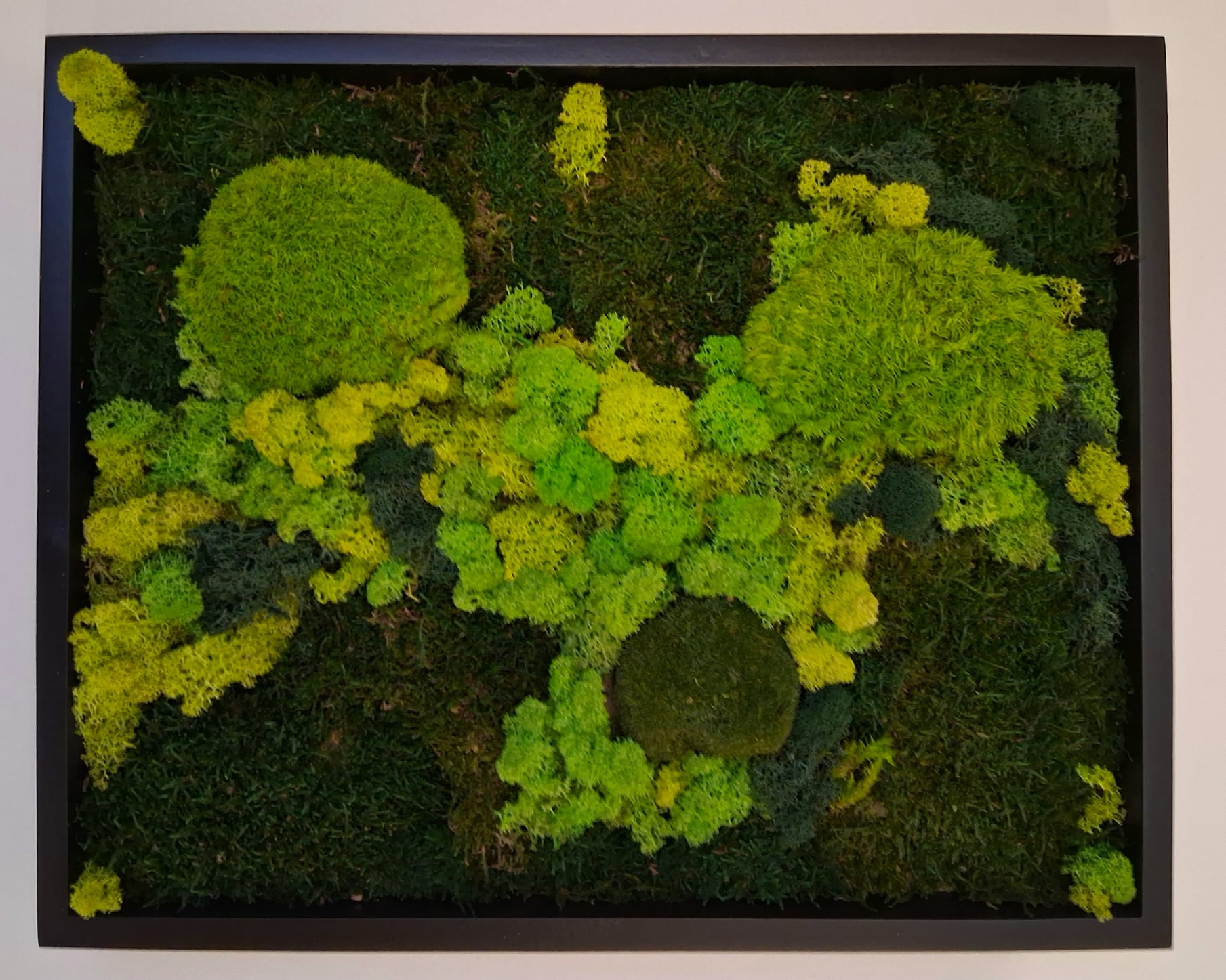 EcoFern foto 6