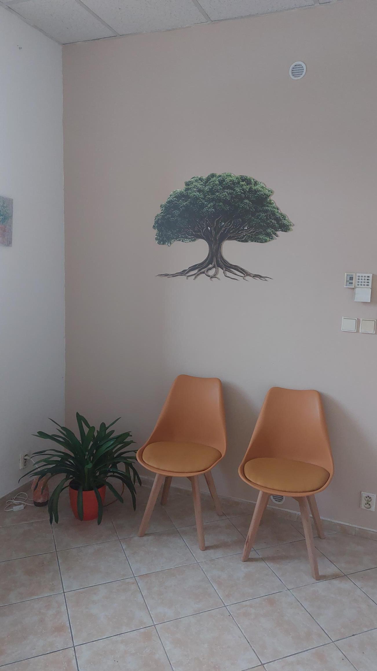 HOMEOPATIE FÉNIX foto 3