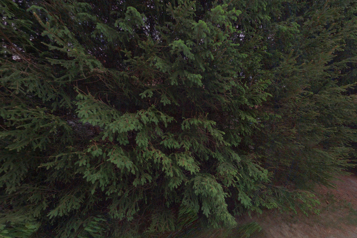 Švestkův statek foto 6