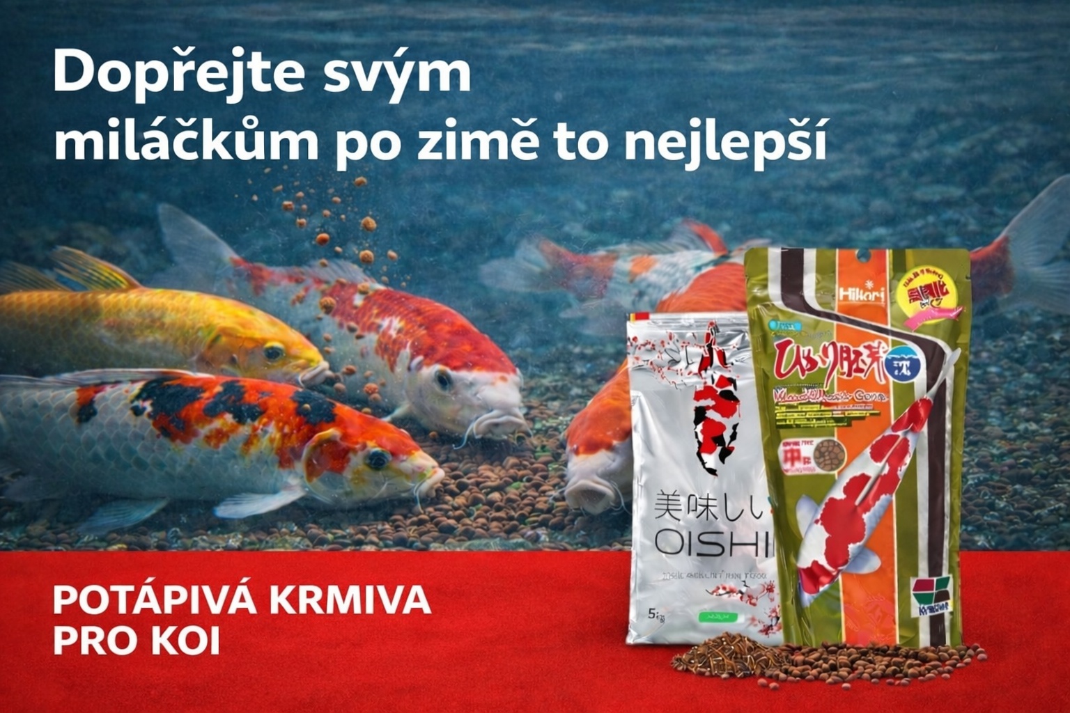 Potápivá krmiva pro KOI přikrmujte již od 6°C