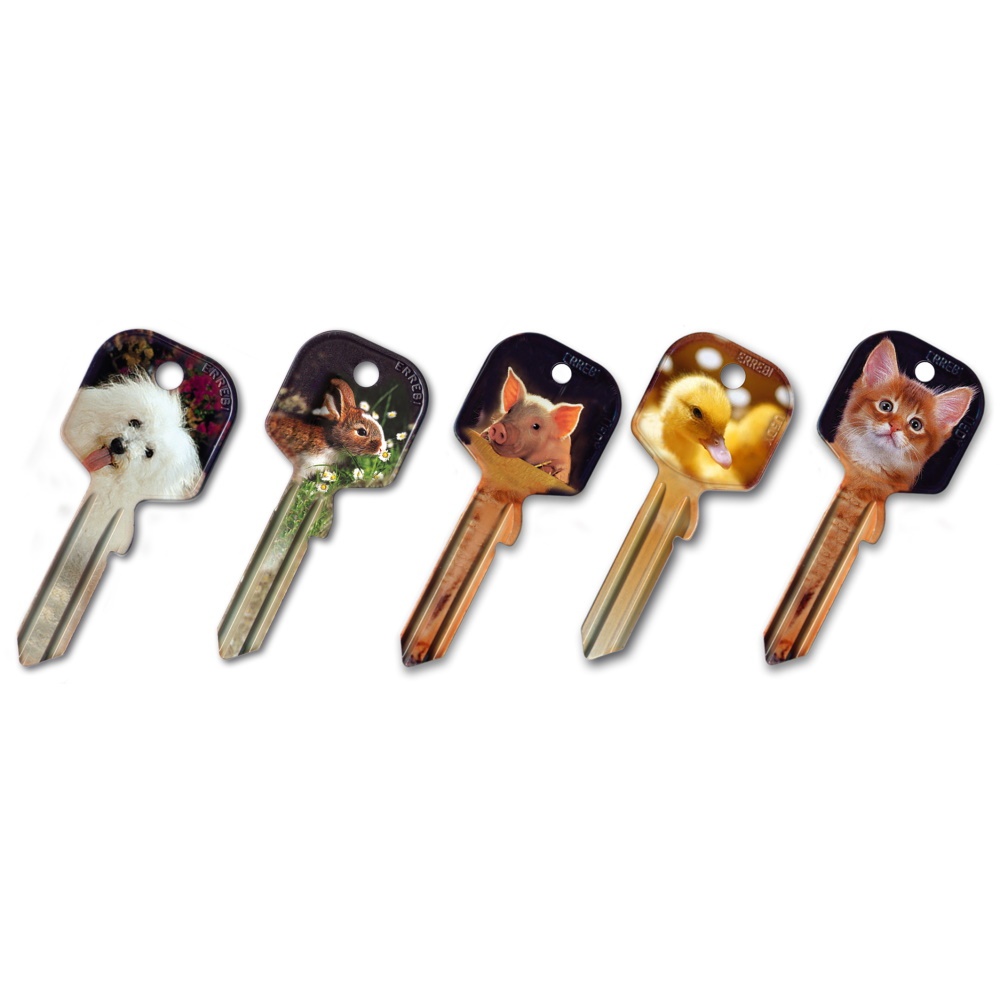 PANDOR SAFE s.r.o. foto 4