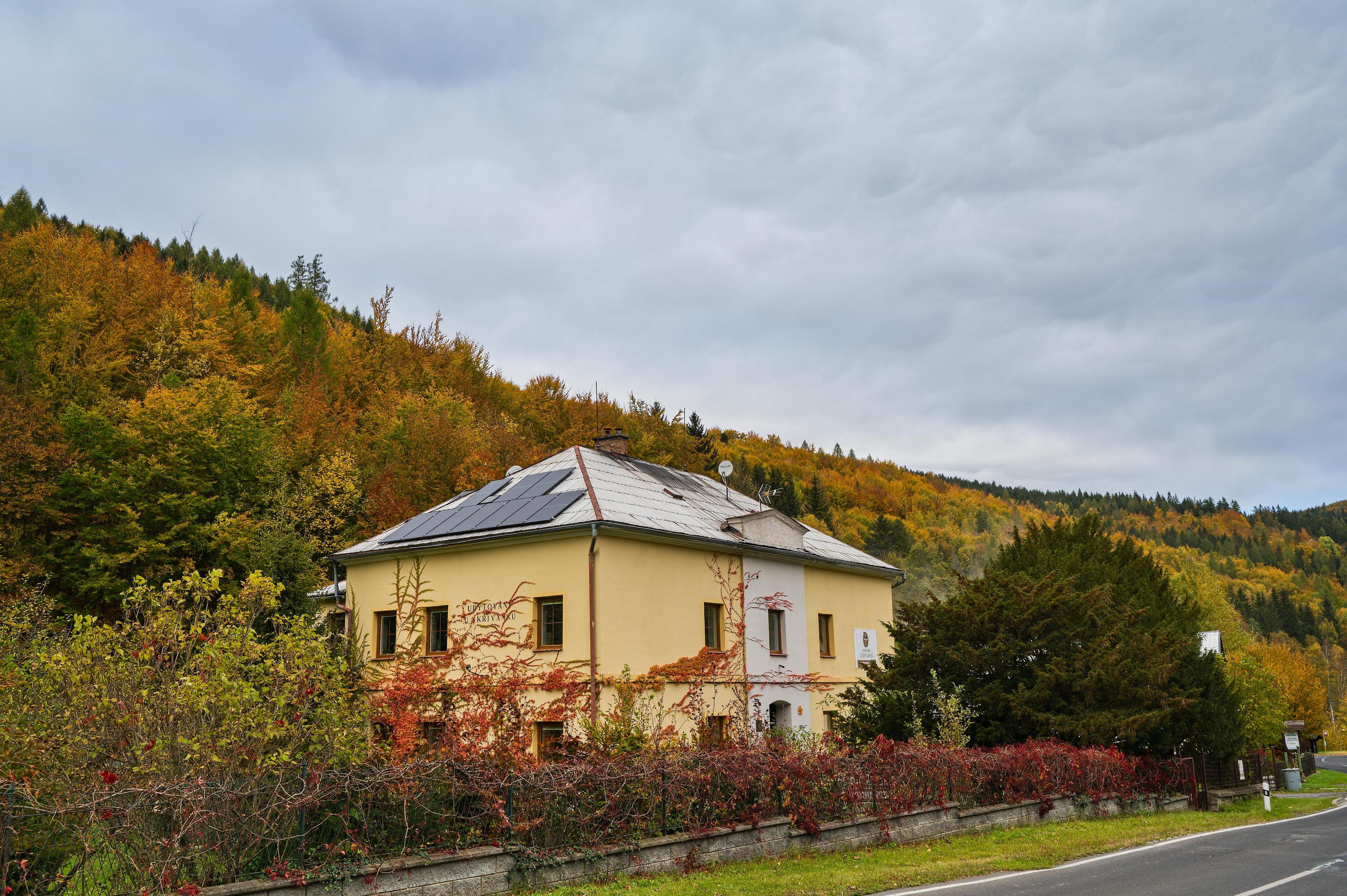 Ubytování u Skřivánků foto 4