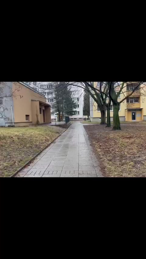 Bylinkový svět foto 2 (náhled videa)