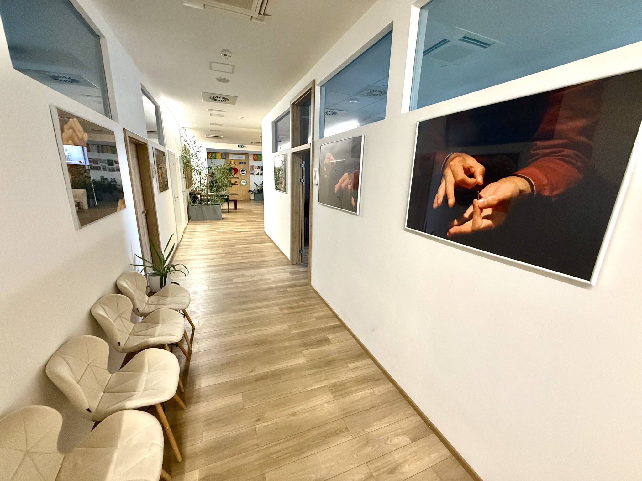 České centrum moderní tradiční čínské medicíny s.r.o. foto 3