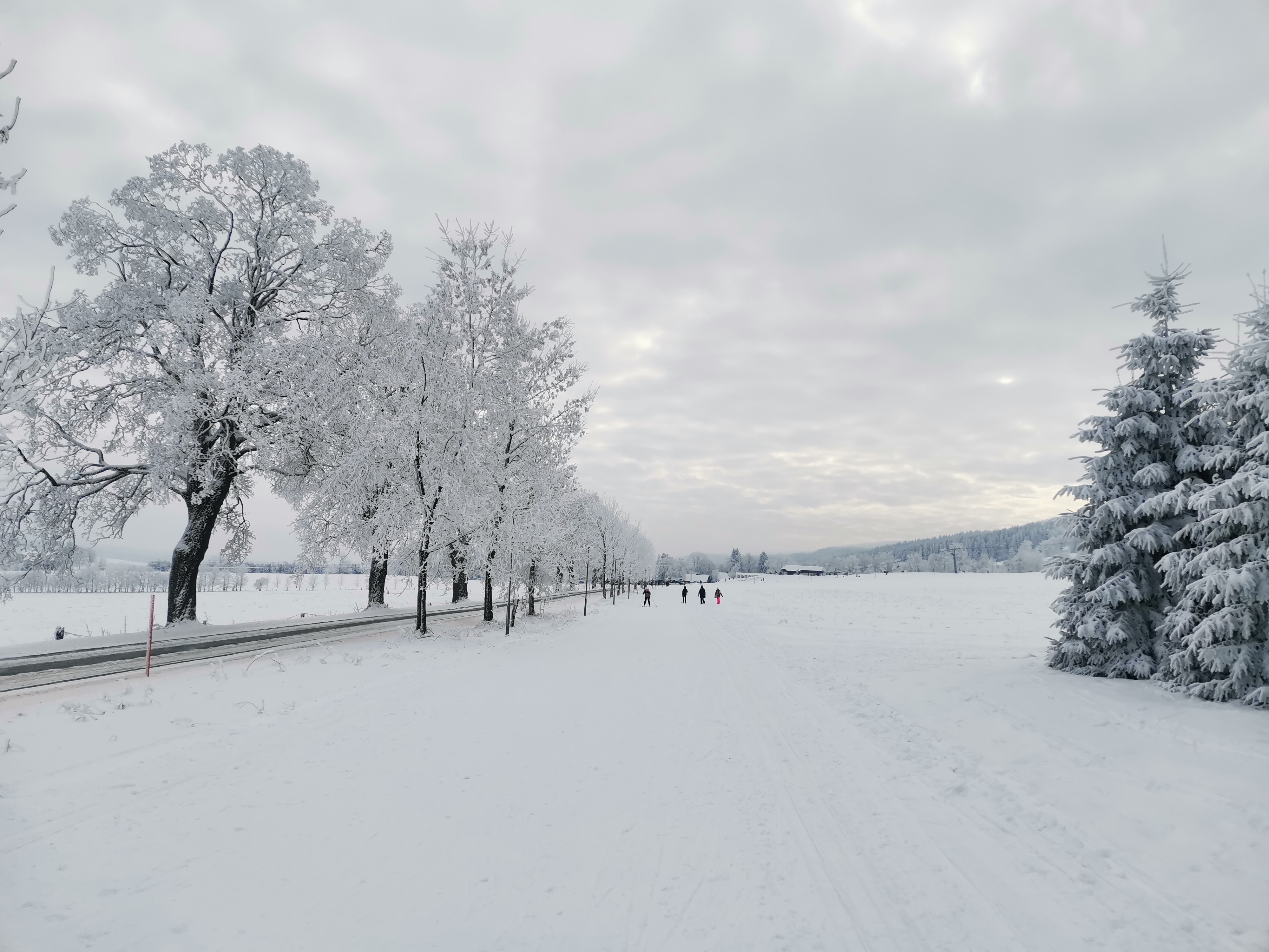 Skiareál Orlické Záhoří / SKIOZ foto 6