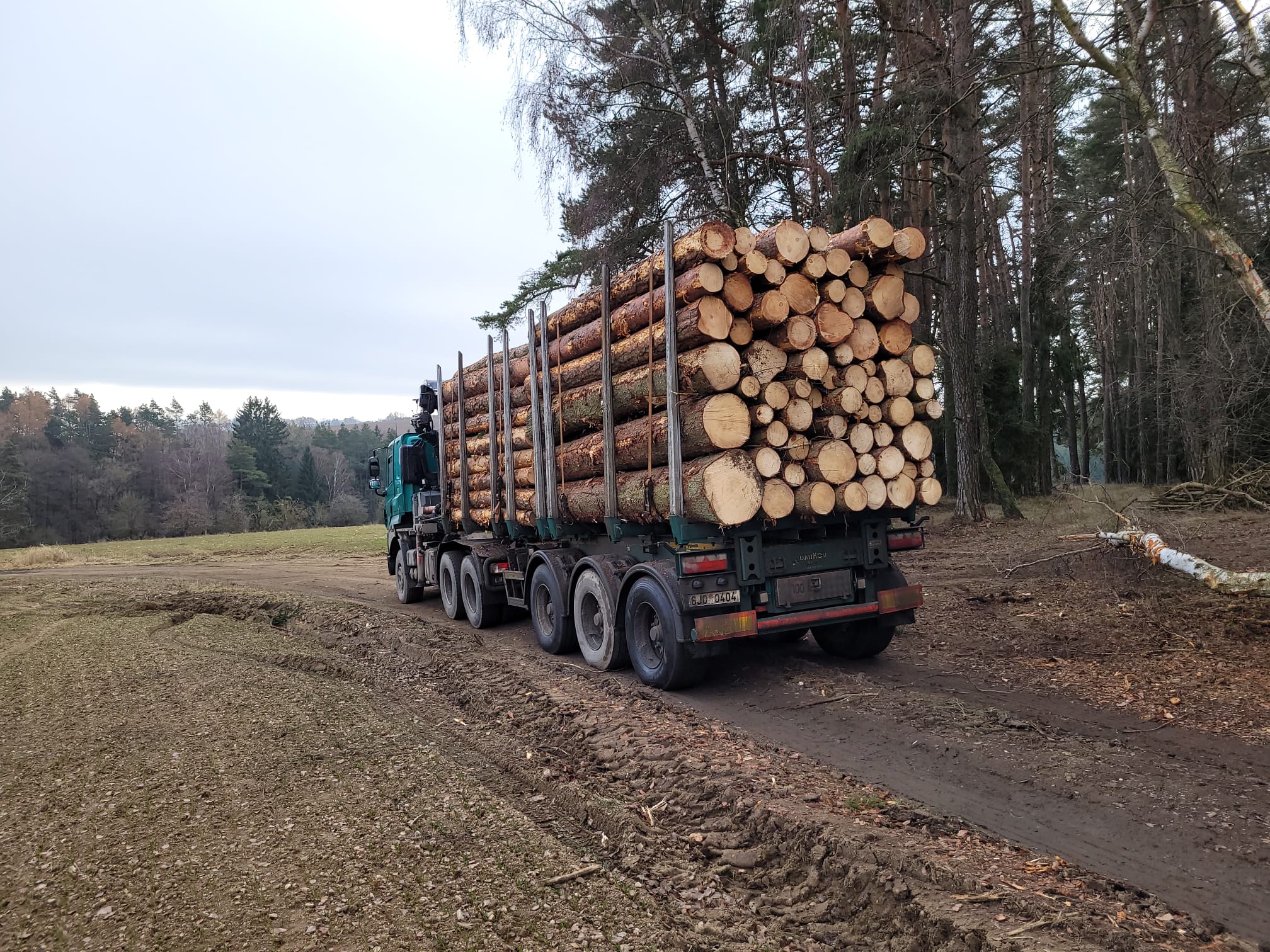 Lesy Jeřábek, s.r.o. foto 6