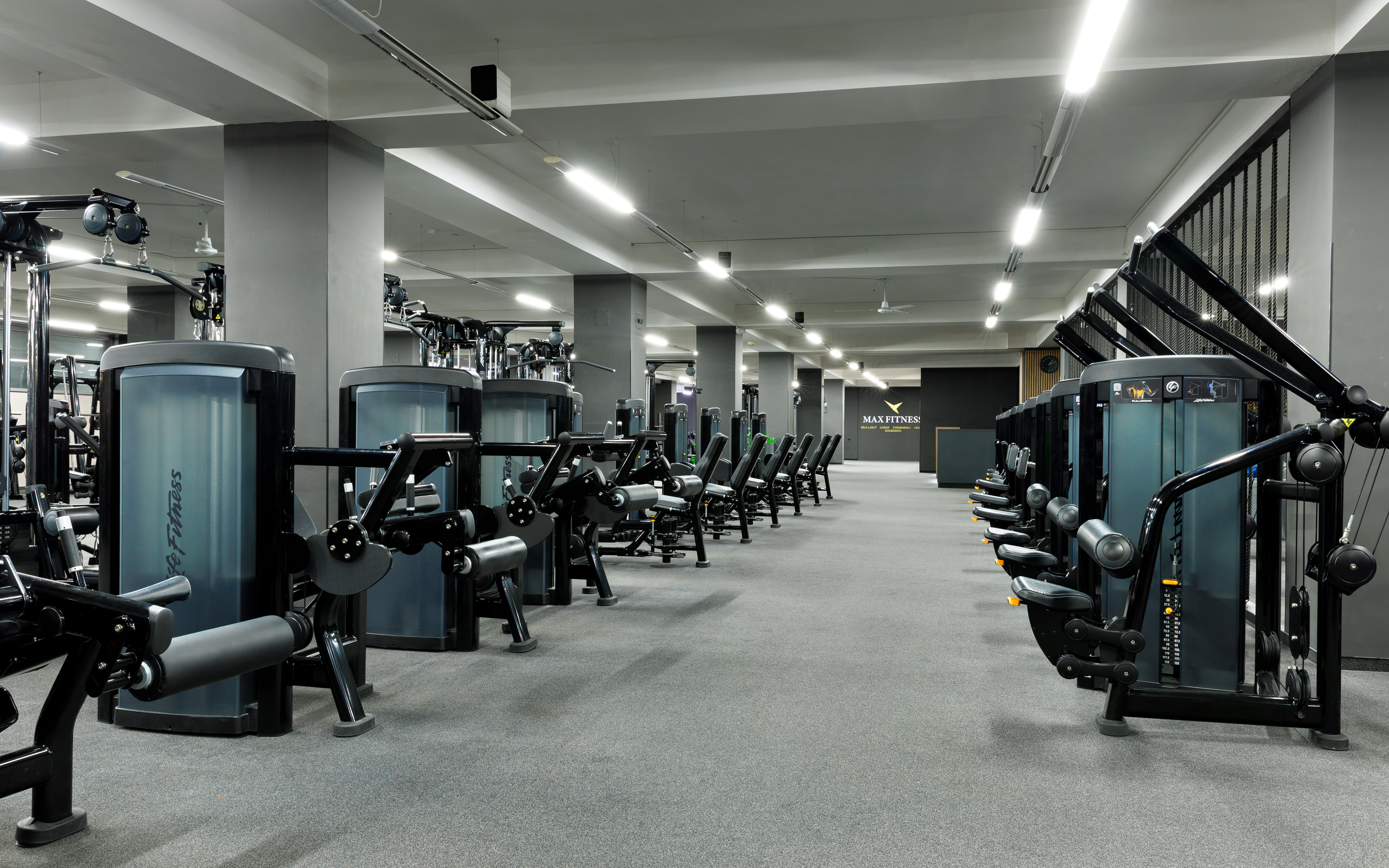 Max Fitness Bílá Labuť foto 4