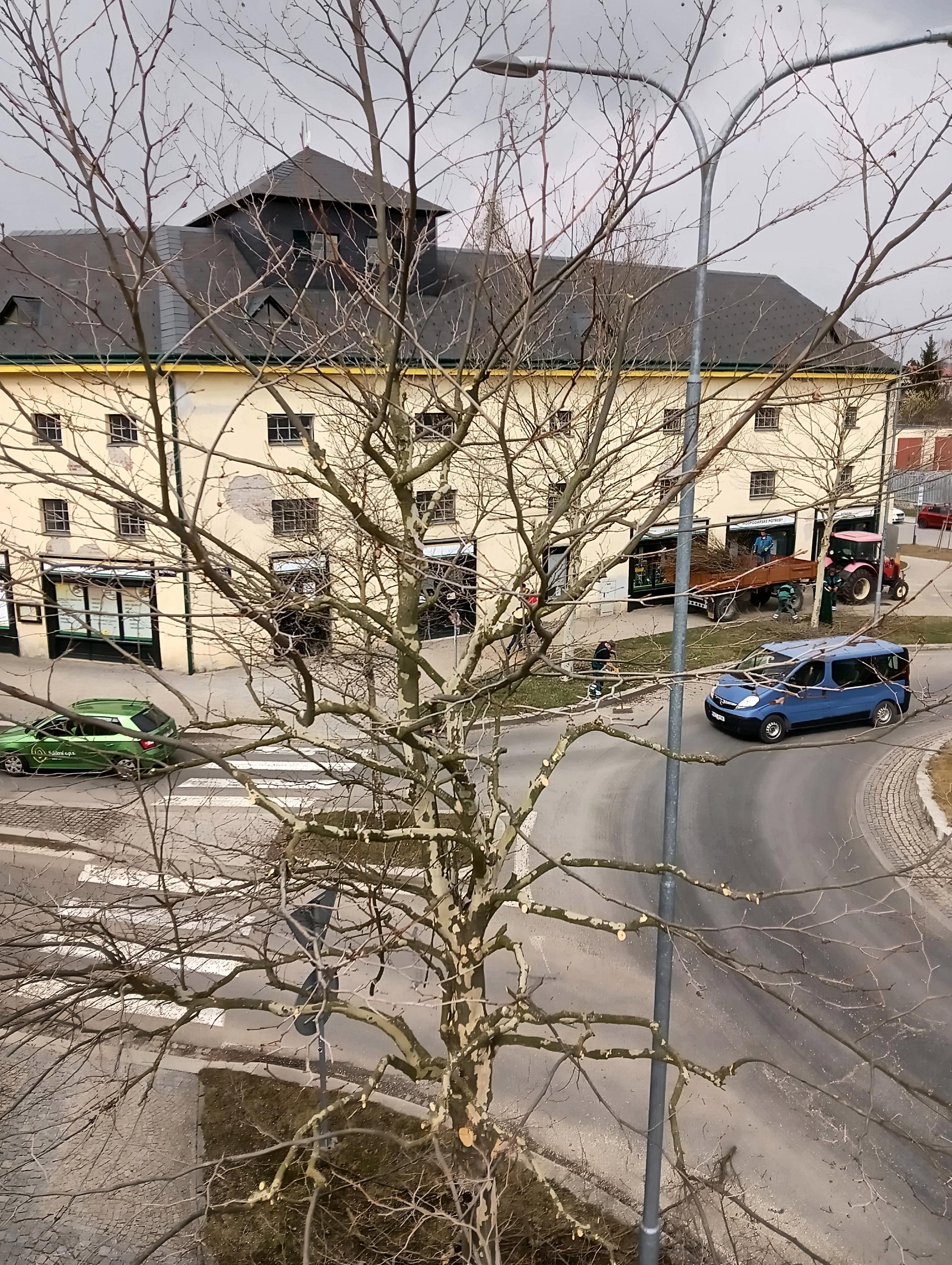 Zahrady Petr Vítů foto 4