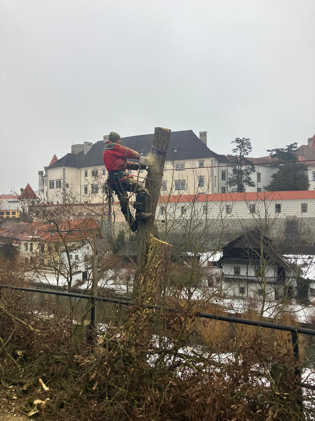 Arboristika Petr Míšek foto 2