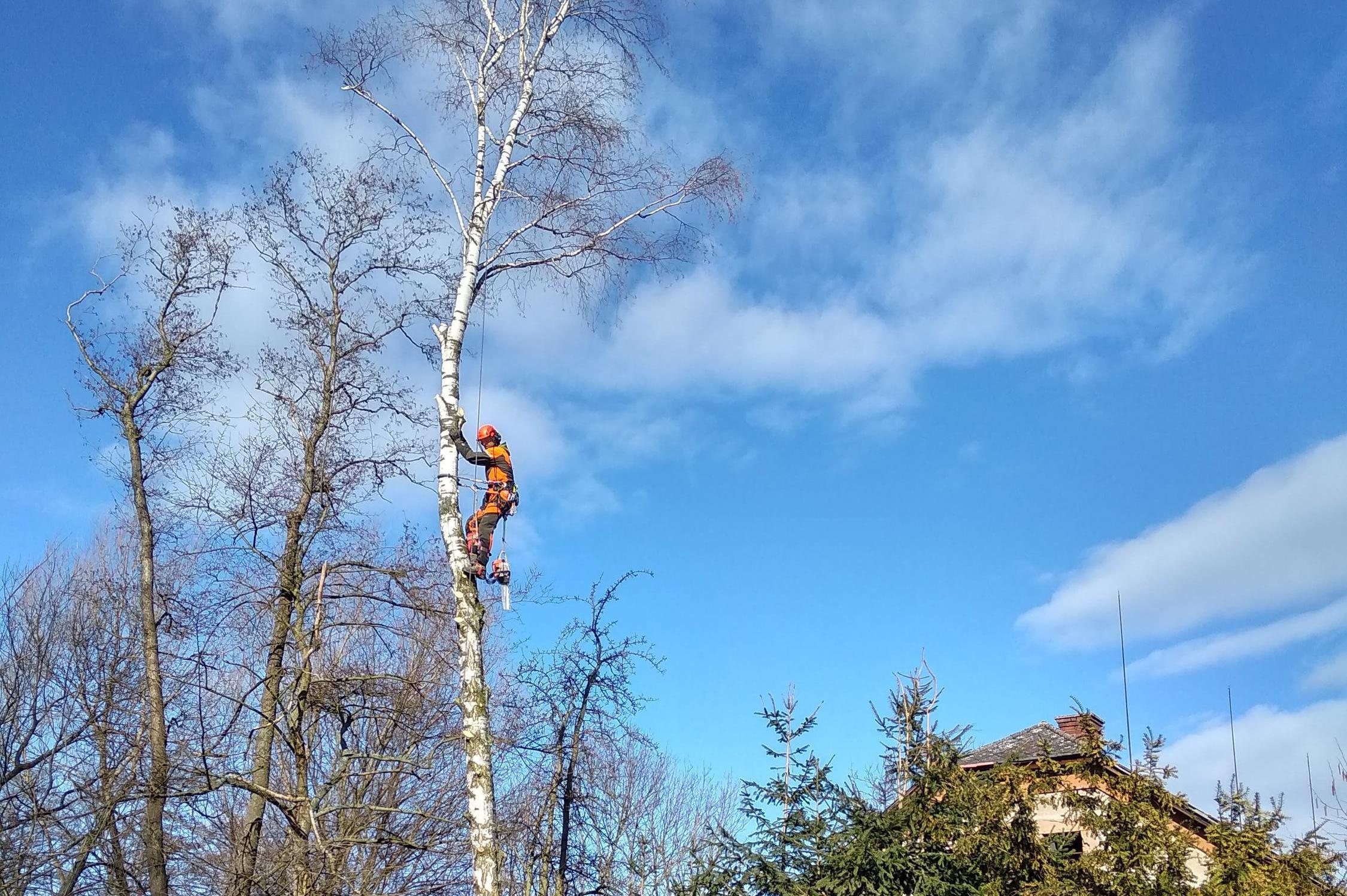 Aleš Nedbal - zahradní práce
