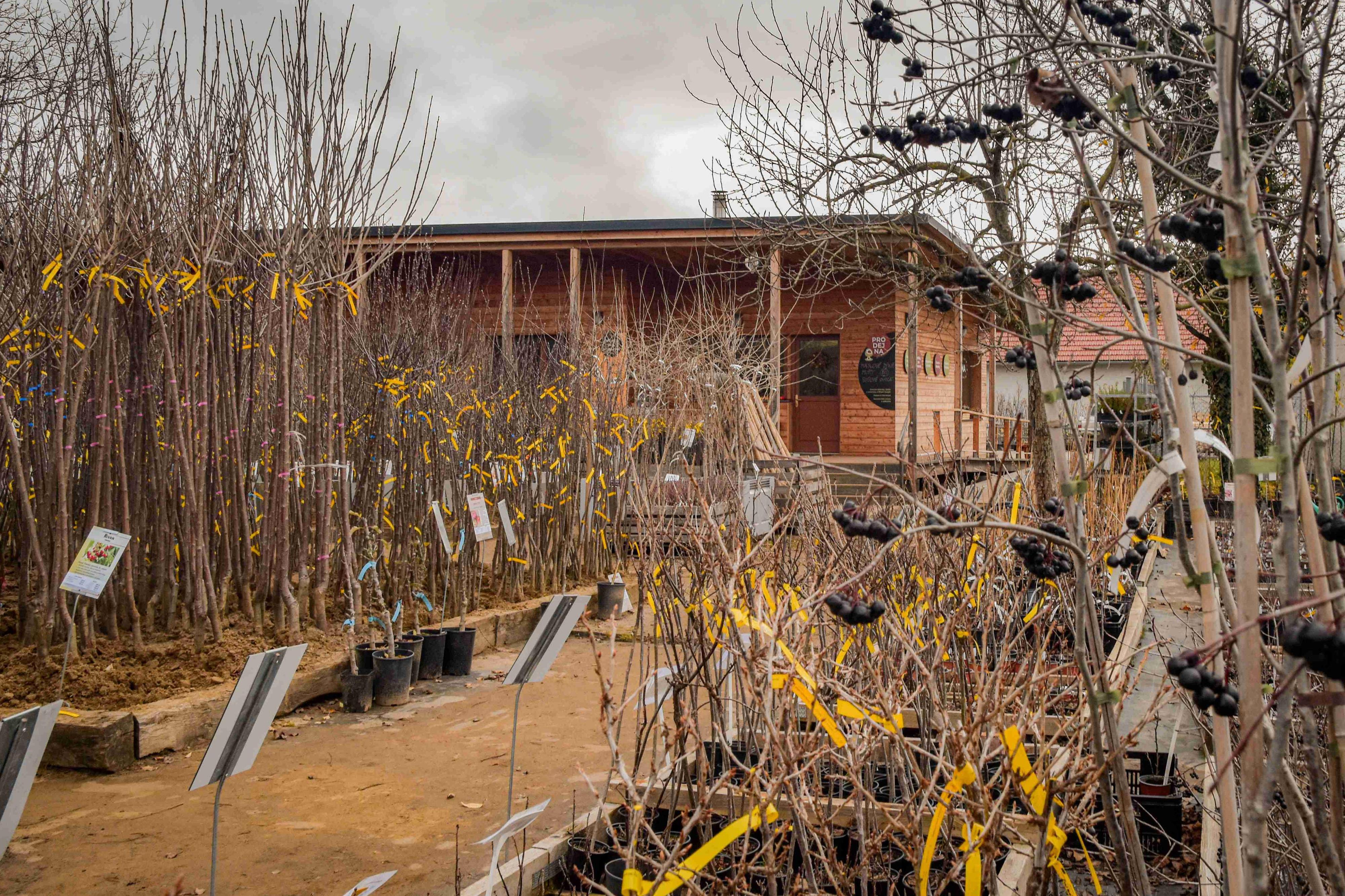 Ovocná školka Bojkovice - Radim Pešek foto 6