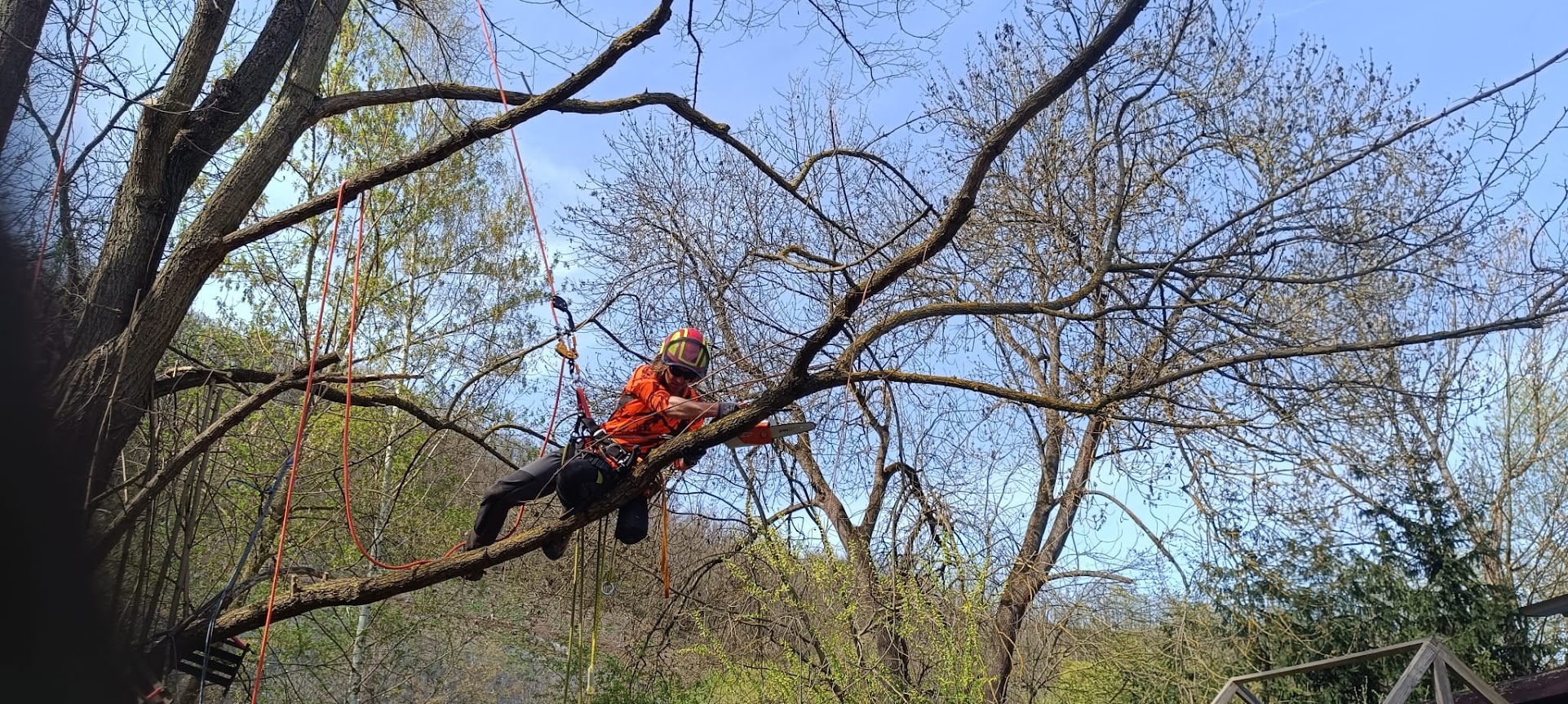 Dvě Větve foto 2