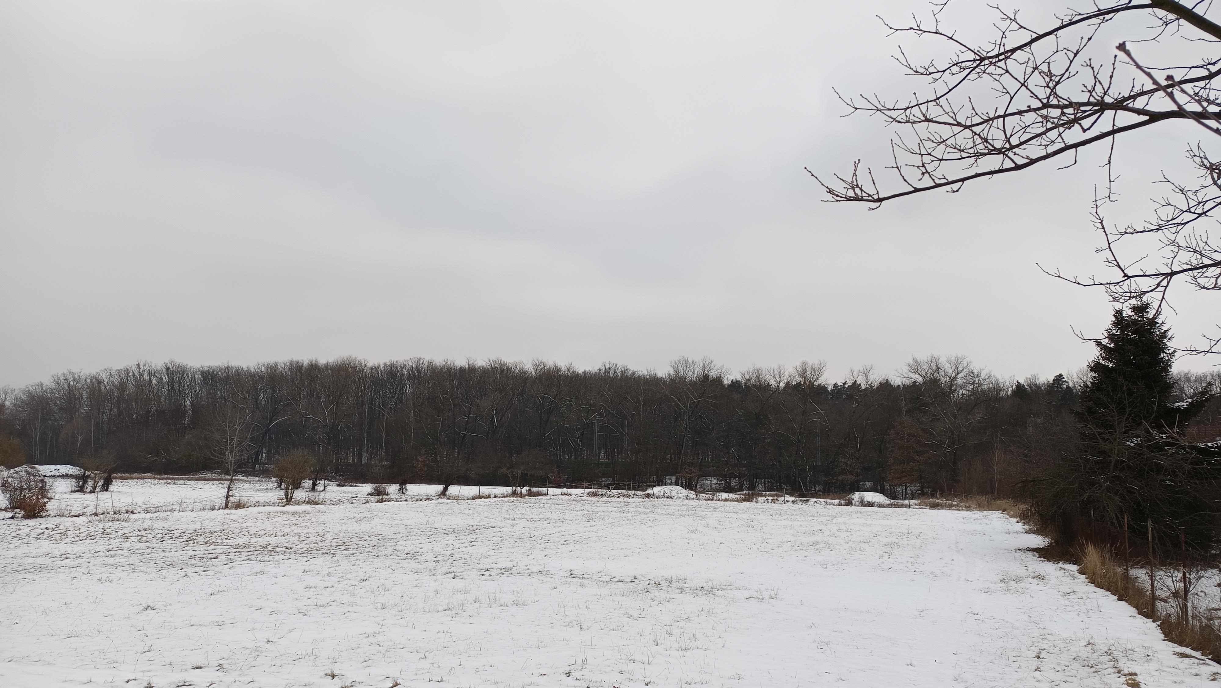 Minifarmička u Čika foto 3